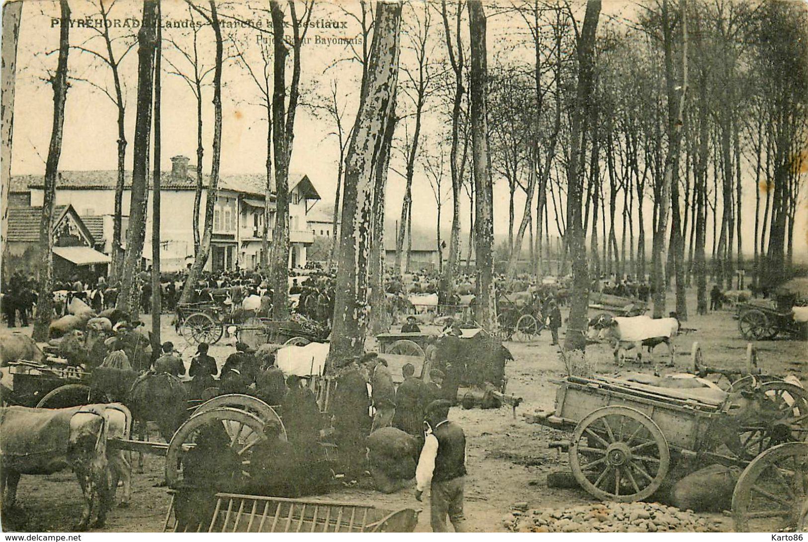 Peyrehorade * Le Marché Aux Bestiaux * Foire Charette Attelage - Peyrehorade