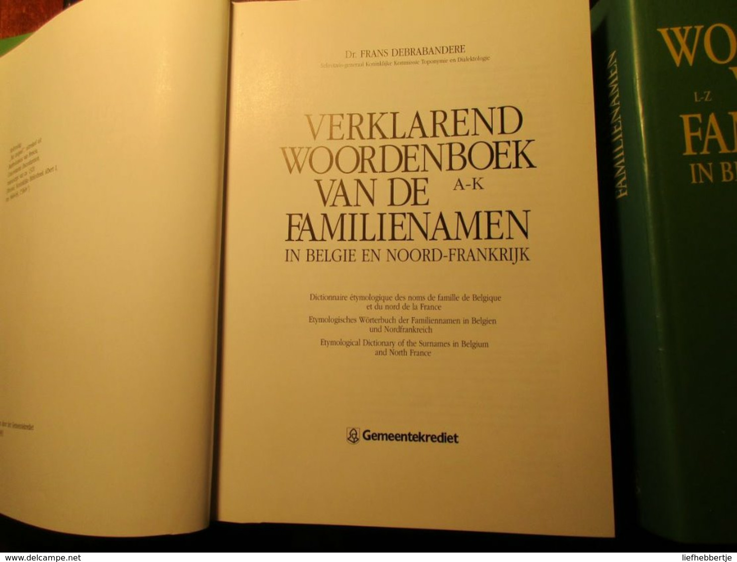 Woordenboeken Van De Familienamen In België En Noord-Frankrijk - Naamkunde - Genealogie - Frans - Vlaanderen - Historia