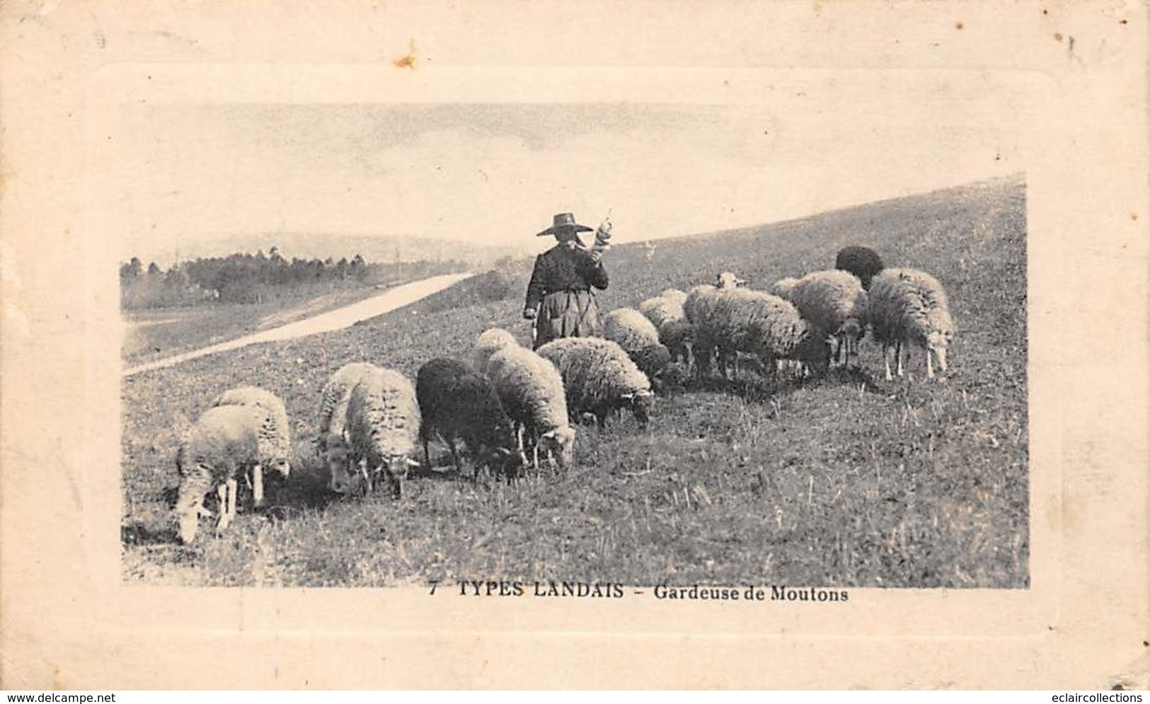 Landes Non Classés       40      Métier  Types Landais. Gardeuse De Moutons   (voir Scan) - Sonstige & Ohne Zuordnung