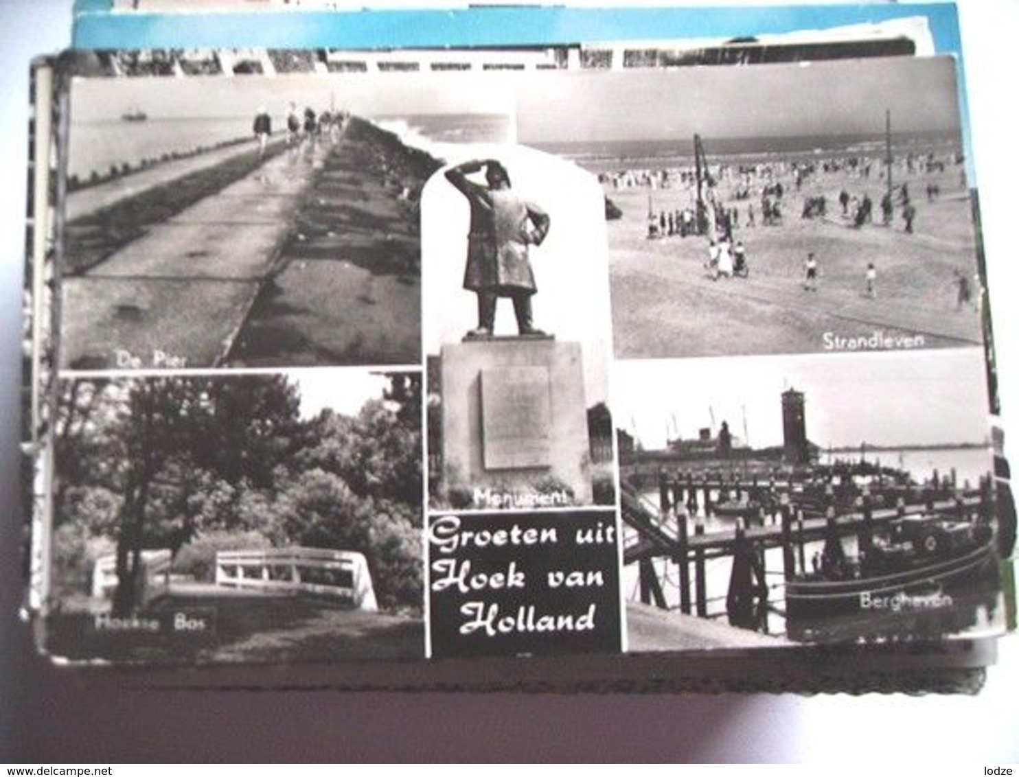 Nederland Holland Pays Bas Hoek Van Holland Met Pier En Hoekse Bos - Hoek Van Holland