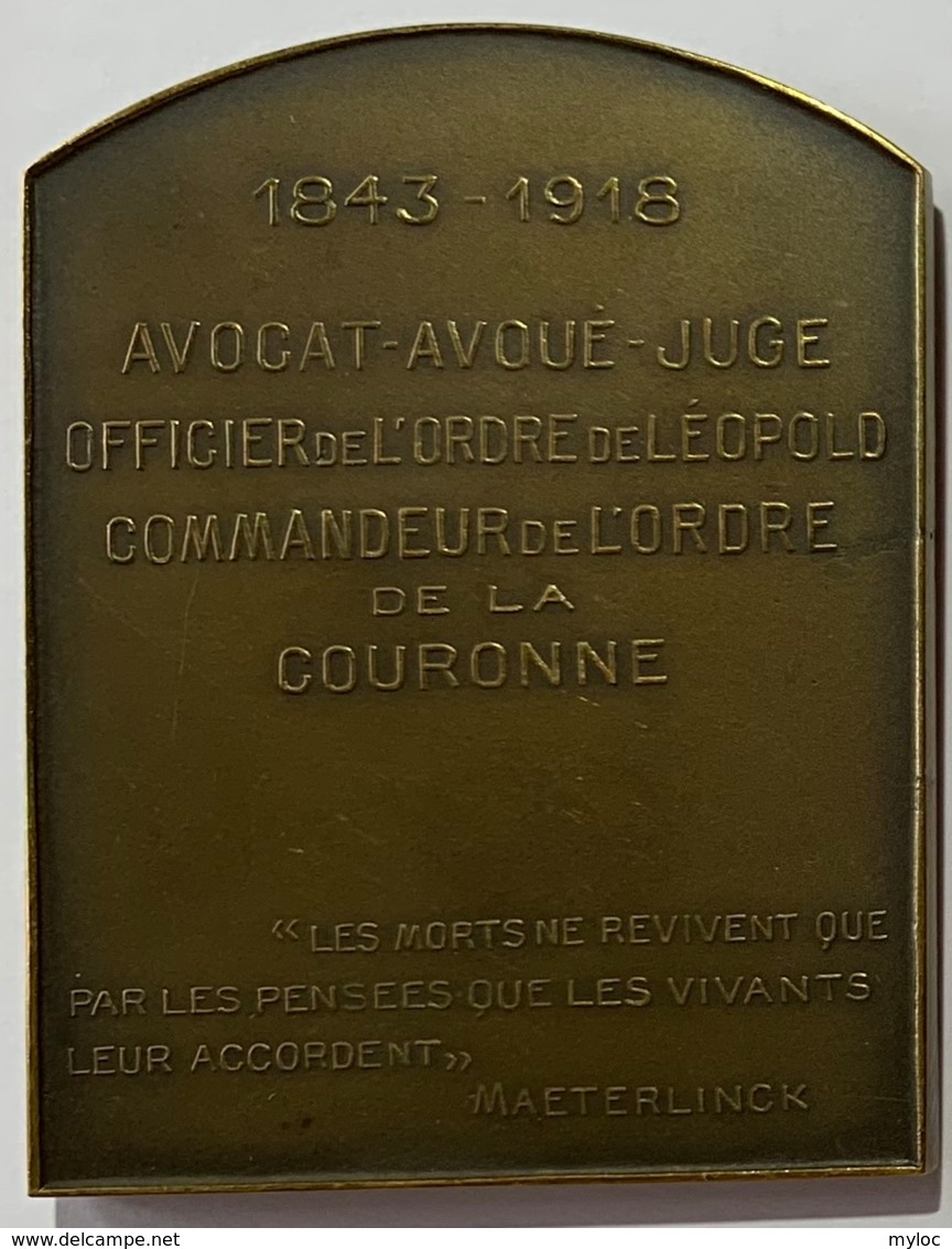 Médaille Bronze. Odilon Perier. Avocat Avoué - Juge. Officier De L'Ordre De Léopold. 1843-1918. J. Witterwulghe - Professionnels / De Société