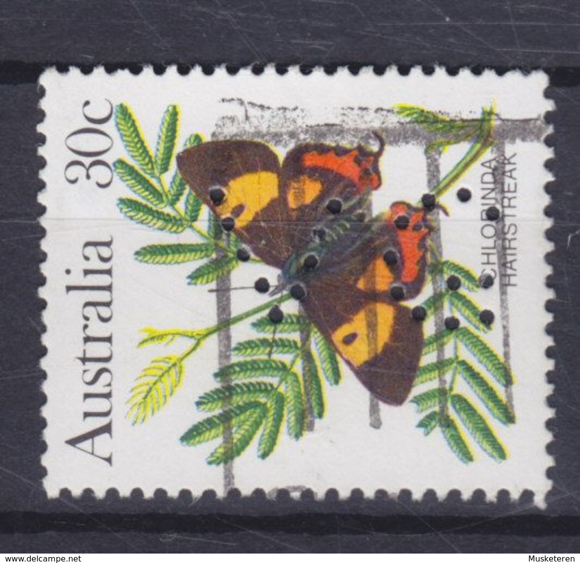 Australia Perfin Perforé Lochung 'VG' 1983 Mi. 843, 30c. Butterfly Schmetterling Papillon - Perforés