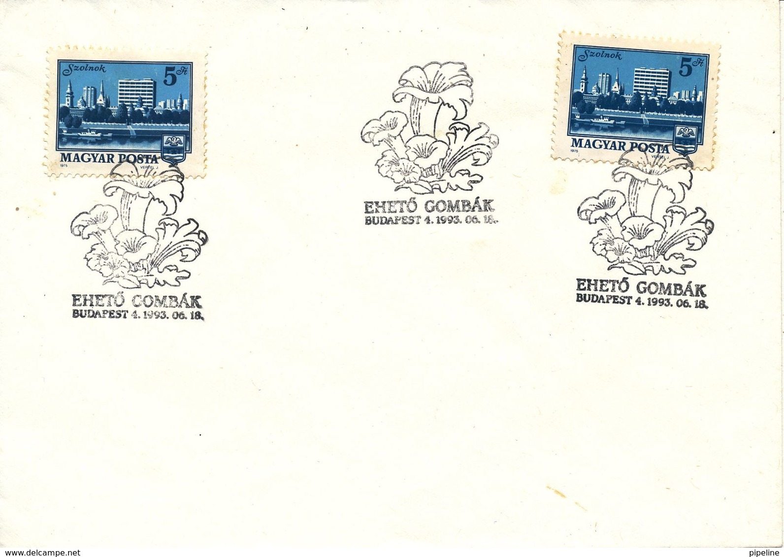 Hungary Cover With Special Postmark Budapest 18-6-1993 - Covers & Documents