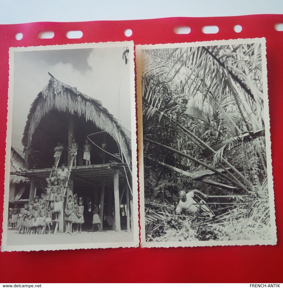 CARTE PHOTO 3 CARTES DILLY JUNGLE HABITATION - Papua New Guinea