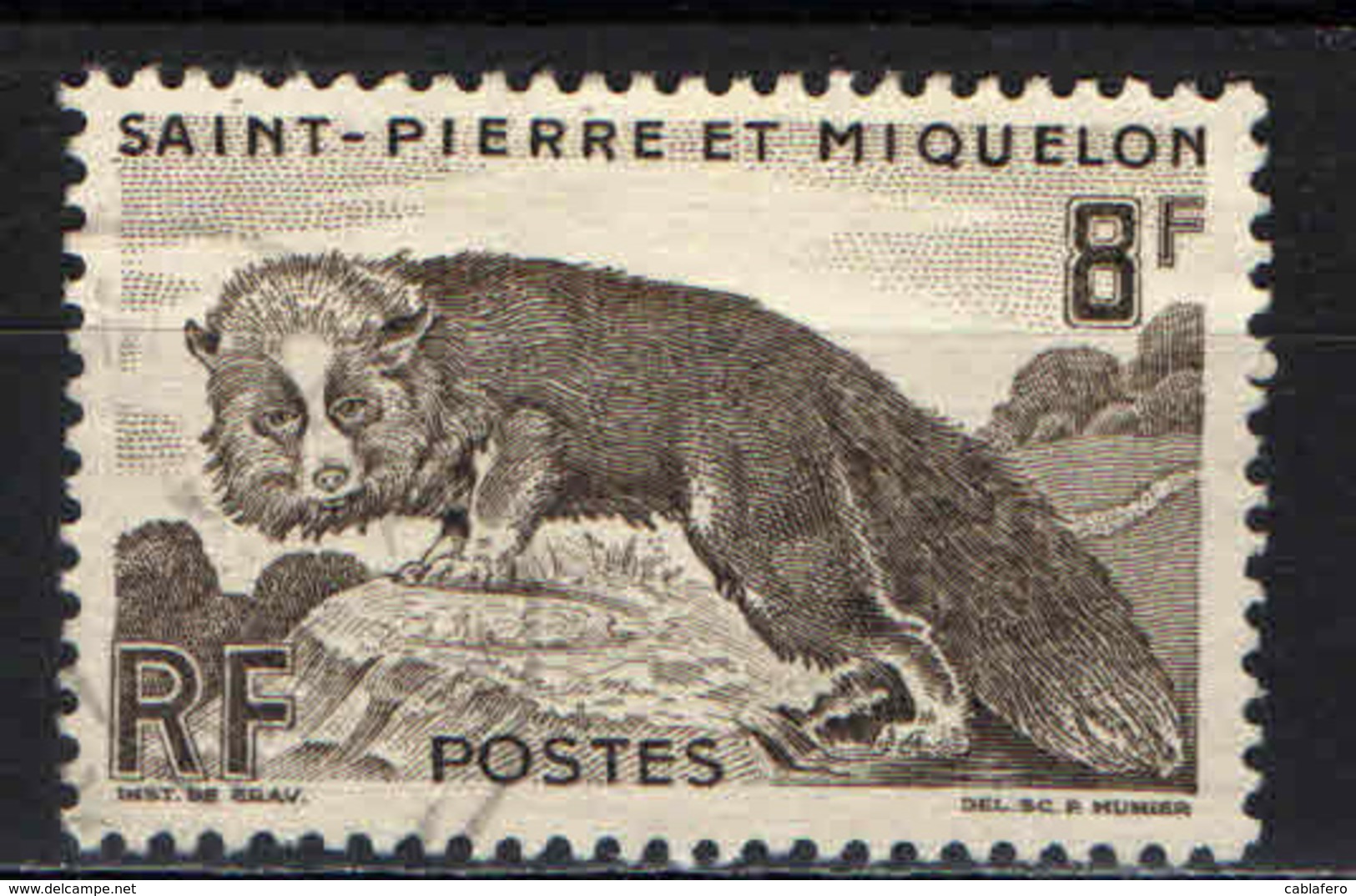 ST. PIERRE & MIQUELON - 1952 - VOLPE ARGENTATA - USATO - Oblitérés