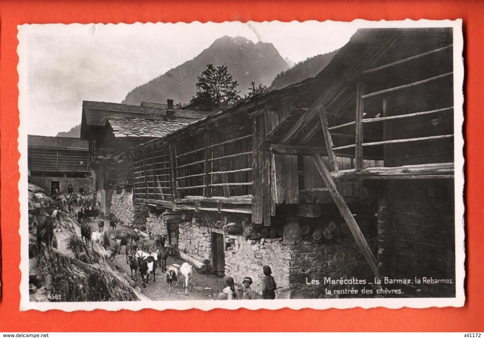 AA-08  Les Marécottes Sur Salvan, La Barmaz, La Rebarmaz Rentrée Des Chèvres Perrochet ANIME. Circulé 1945 - Salvan