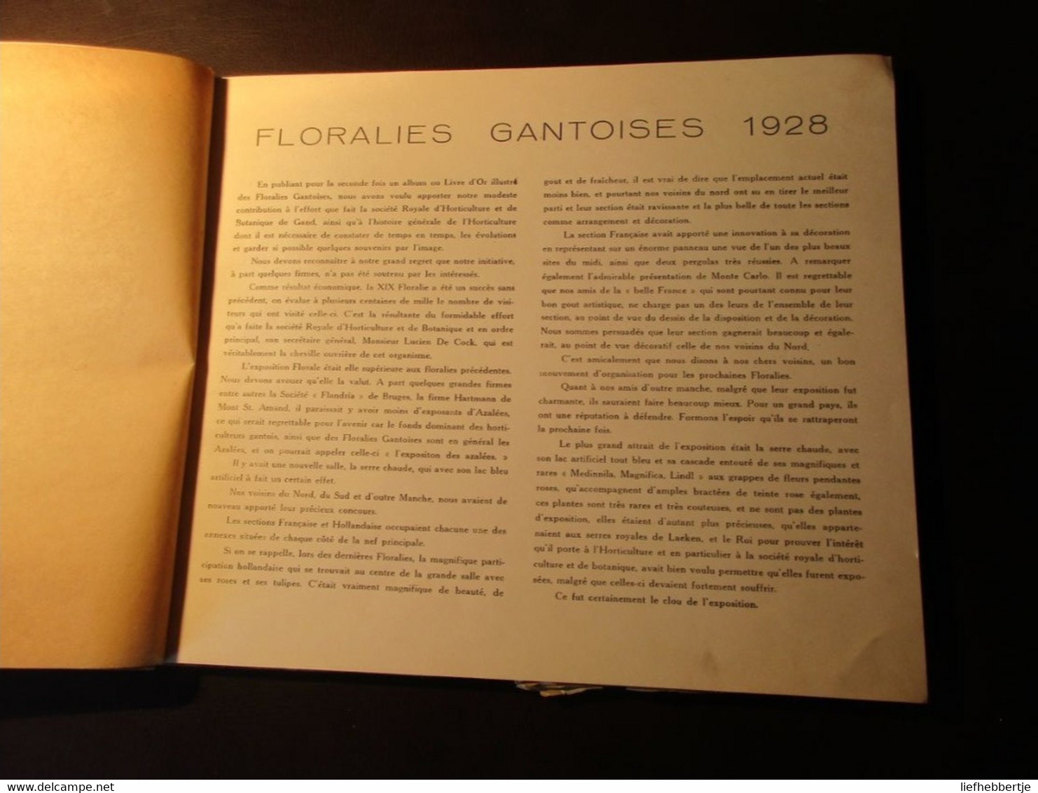 Floralies Gantoises 1928  - De Floraliën Van Gent  Yy - Histoire