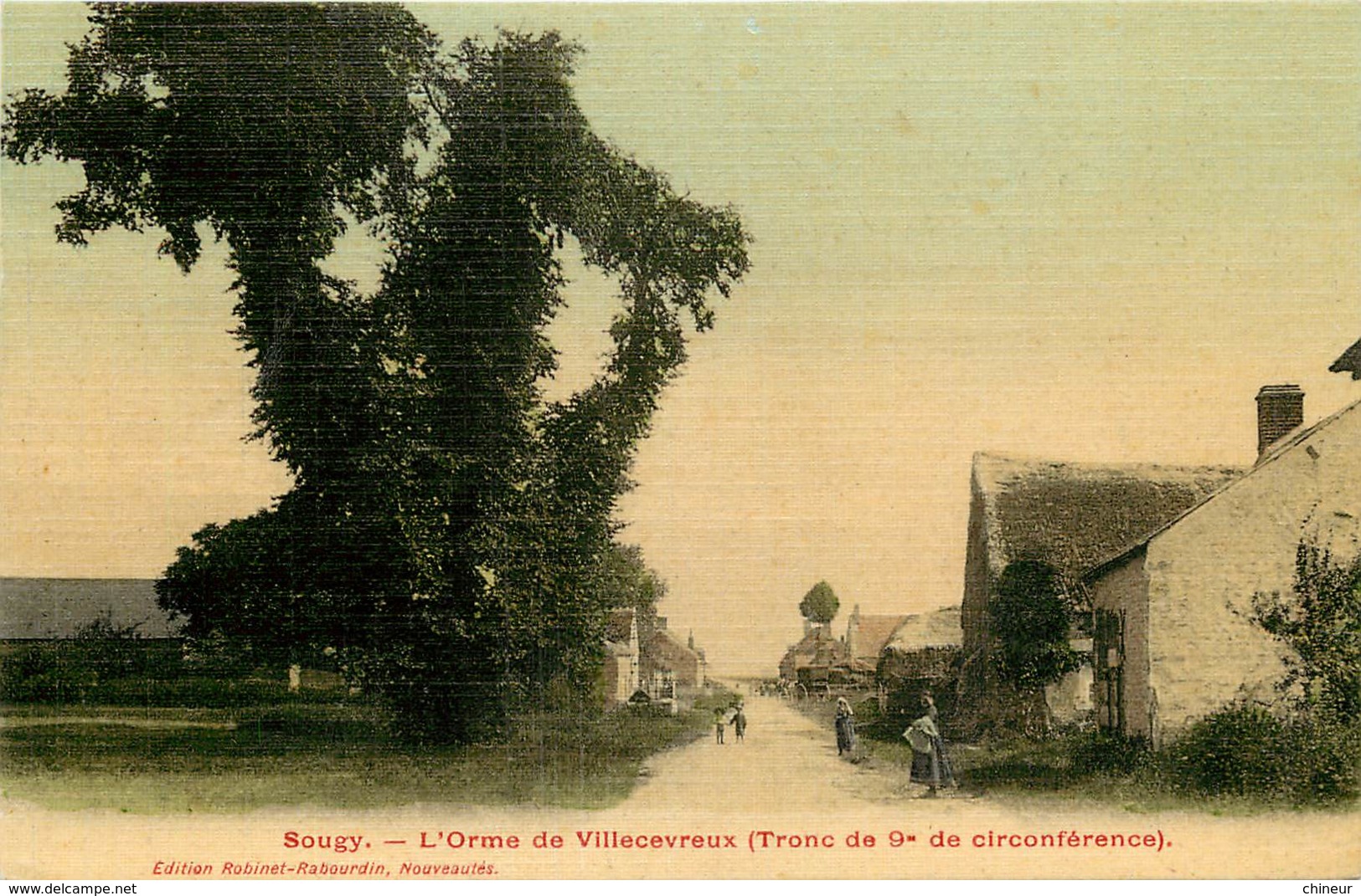 SOUGY L'ORME DE VILLECEVREUX CARTE COLORISEE ET TOILEE - Sonstige & Ohne Zuordnung