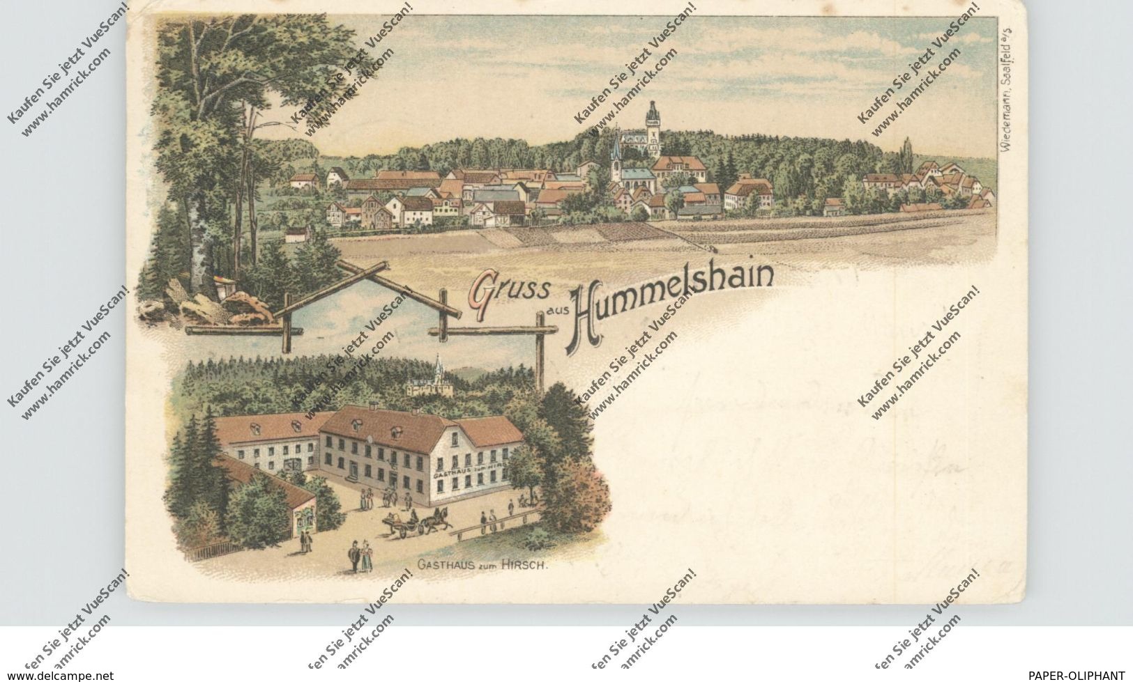 0-6800 SCHMÖLLN - HUMMELSHAIN, Lithographie, Gasthaus Zum Hirsch, Gesamtansicht - Schmoelln