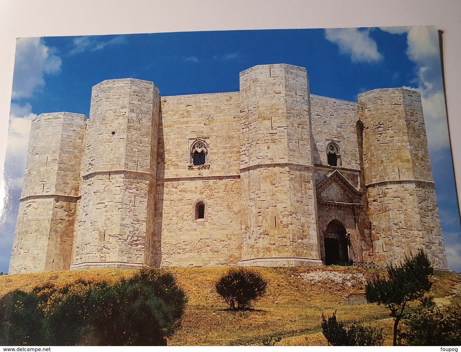 PUGLIA CASTEL DEL MONTE ANDRIA POUILLES ITALIE - Andria