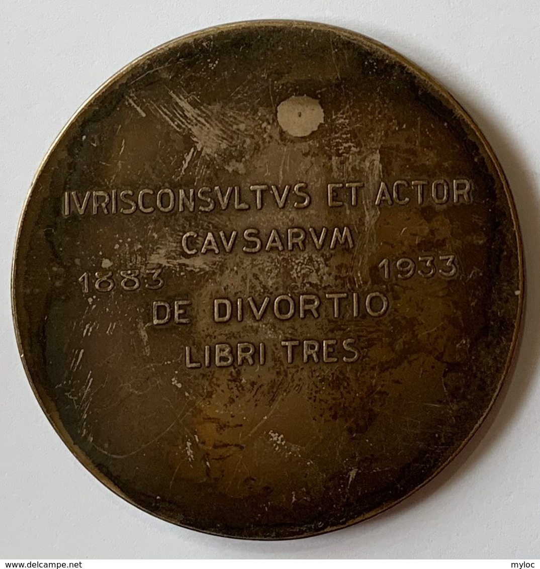 Médaille Bronze. Arthur Pierard. Ses Confrères Et Amis. 1883-1933. Marnix D'Haveloose - Unternehmen