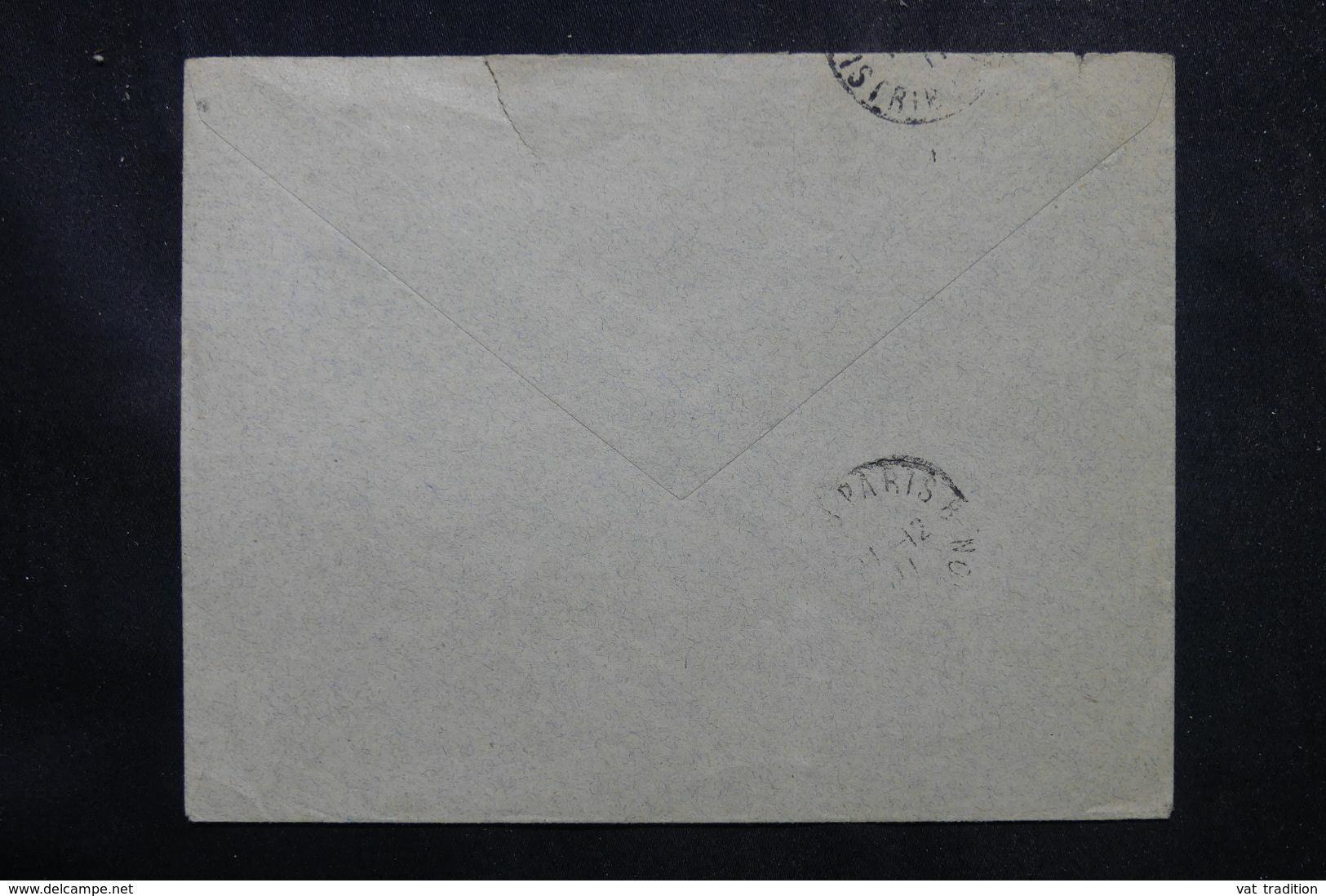GUYANE - Enveloppe De Cayenne Pour Paris En 1911, Affranchissement Fourmilier - L 68939 - Briefe U. Dokumente