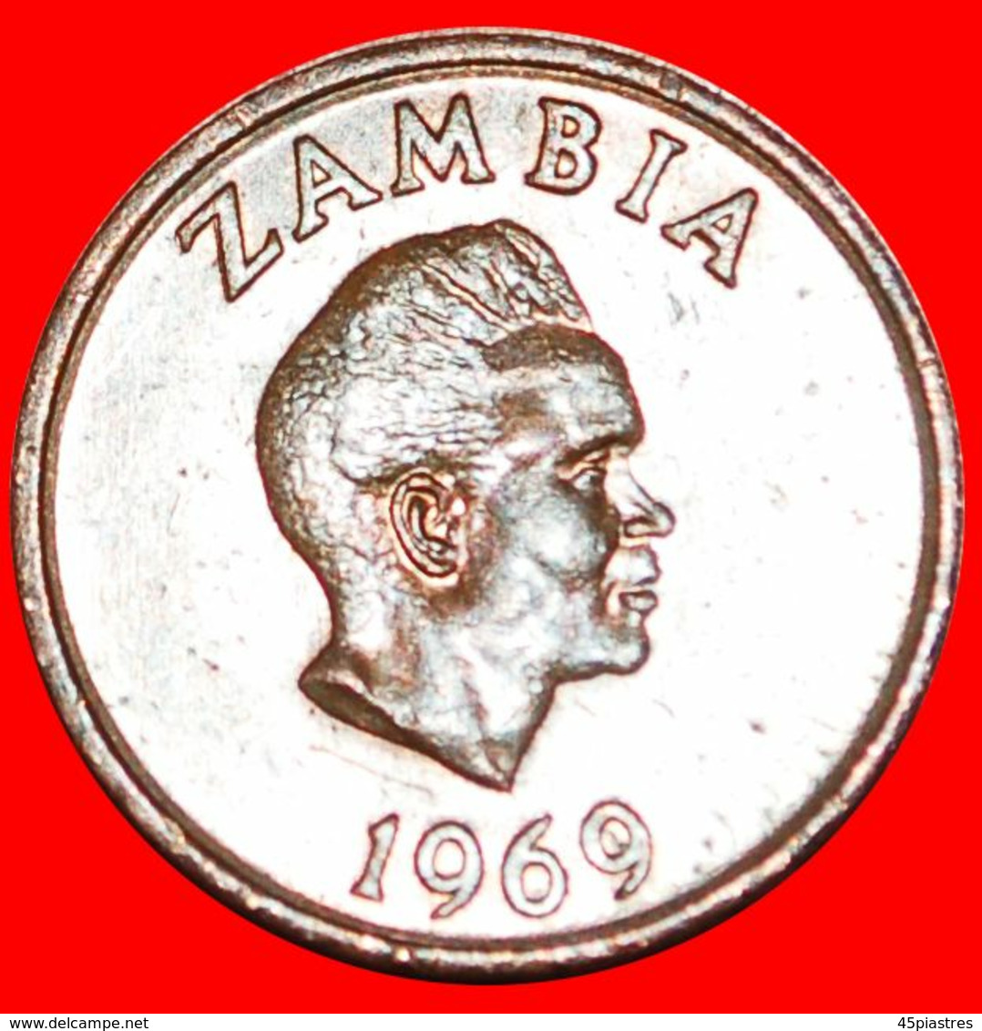 · GREAT BRITAIN (1968-1978): ZAMBIA ★ 1 NGWEE 1969 ANTEATER! LOW START ★ NO RESERVE! - Zambie