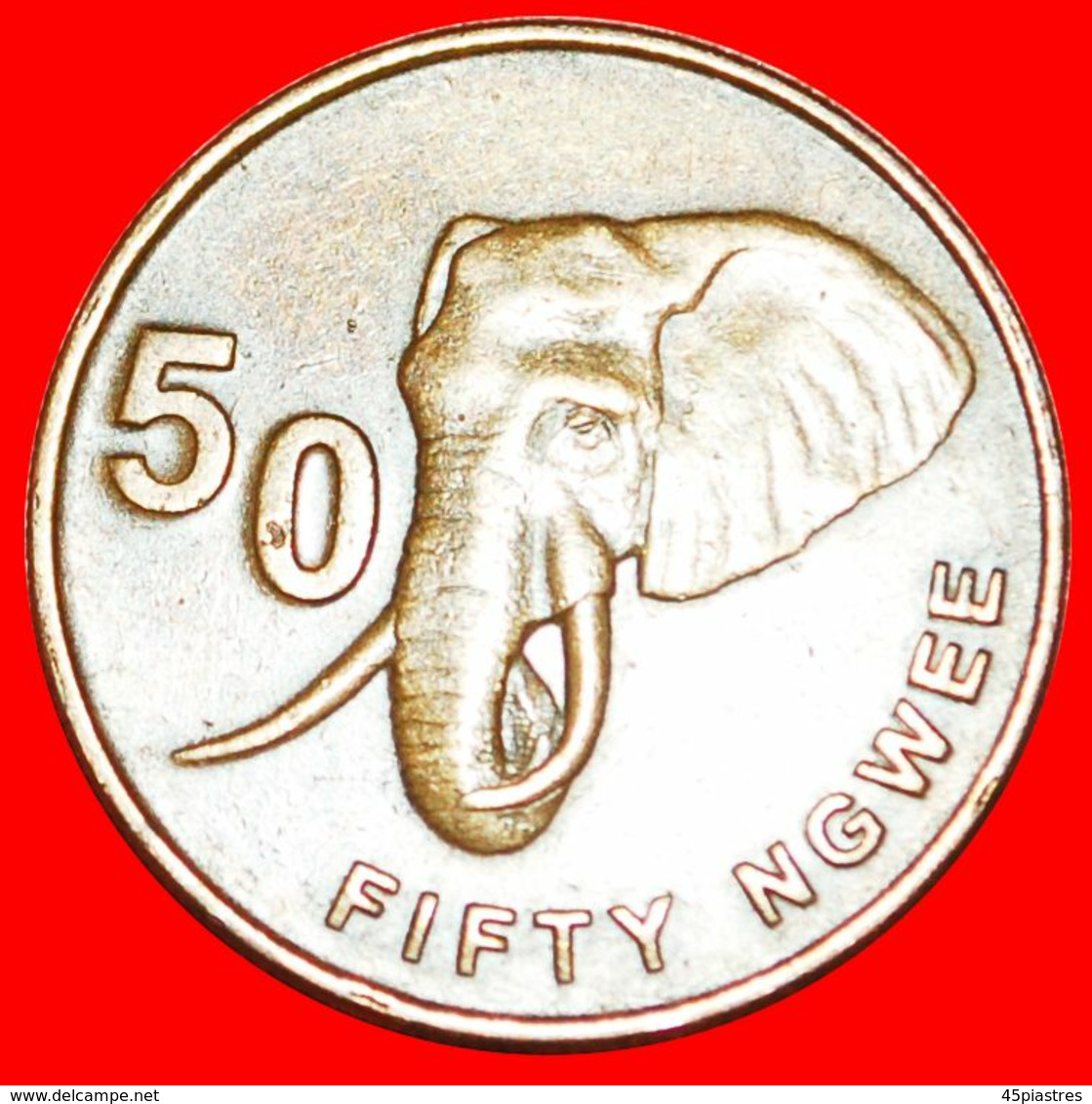 · ELEPHANT (2012-2017): ZAMBIA ★ 50 NGWEE 2012! LOW START ★ NO RESERVE! - Zambia