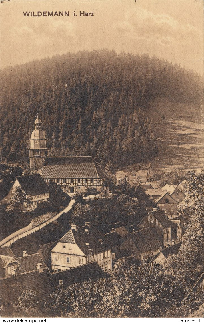 AK Wildemann Harz - Totalansicht 1925 - Wildemann