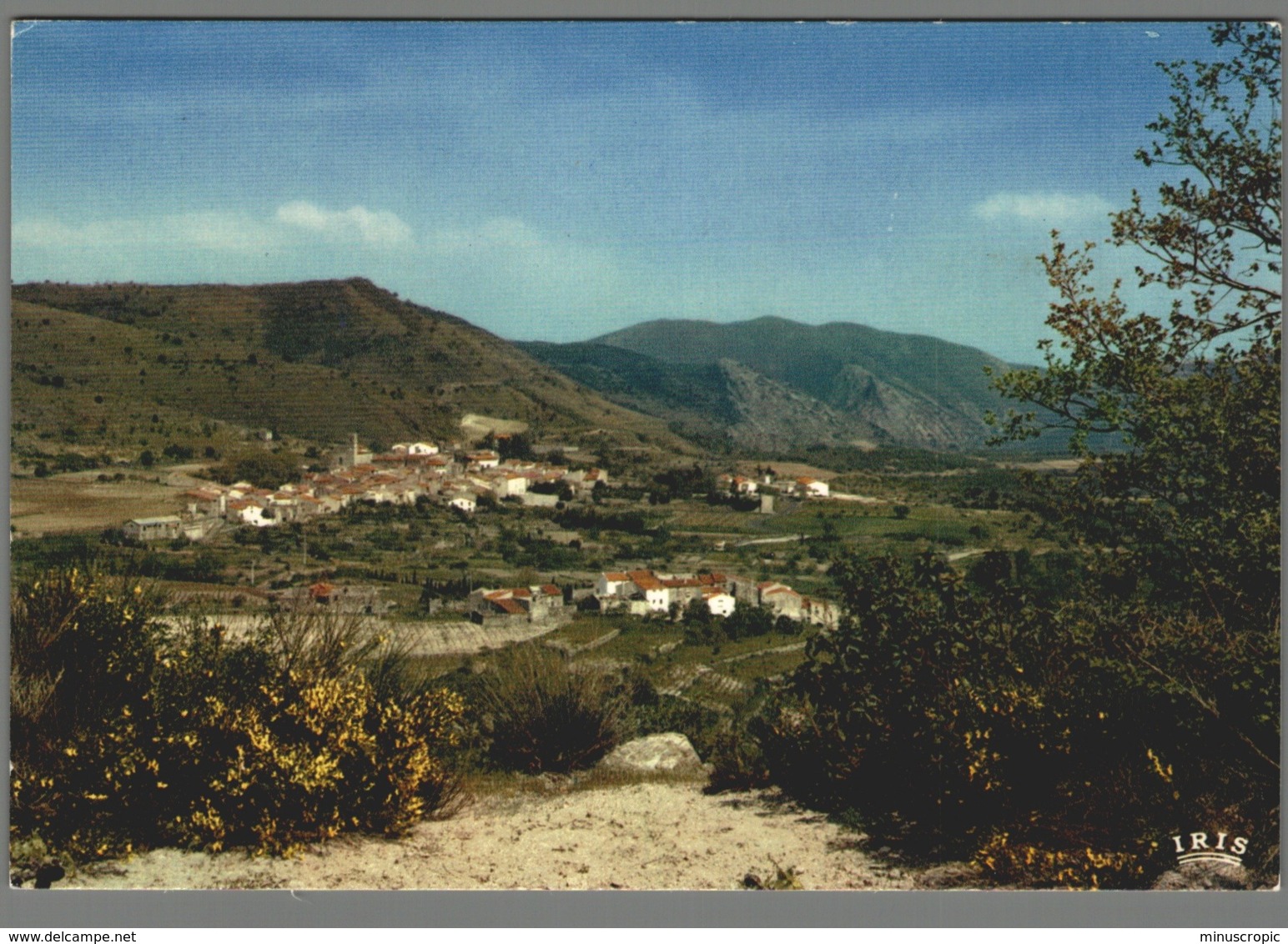 CPM 66 - Sournia - Vue Générale - Sournia