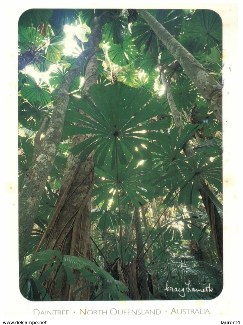 (K 26) Australia - QLD - Daintree Rainforest (NQ10) With Bat Stamp - Far North Queensland