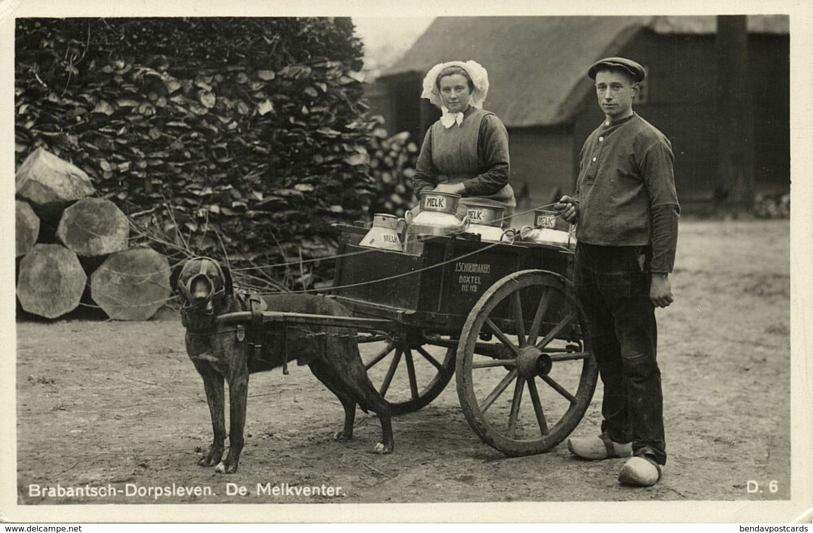 Nederland, BOXTEL, Brabantsch Dorpsleven, Hondenkar Melkventer (1920s) Ansichtkaart - Boxtel