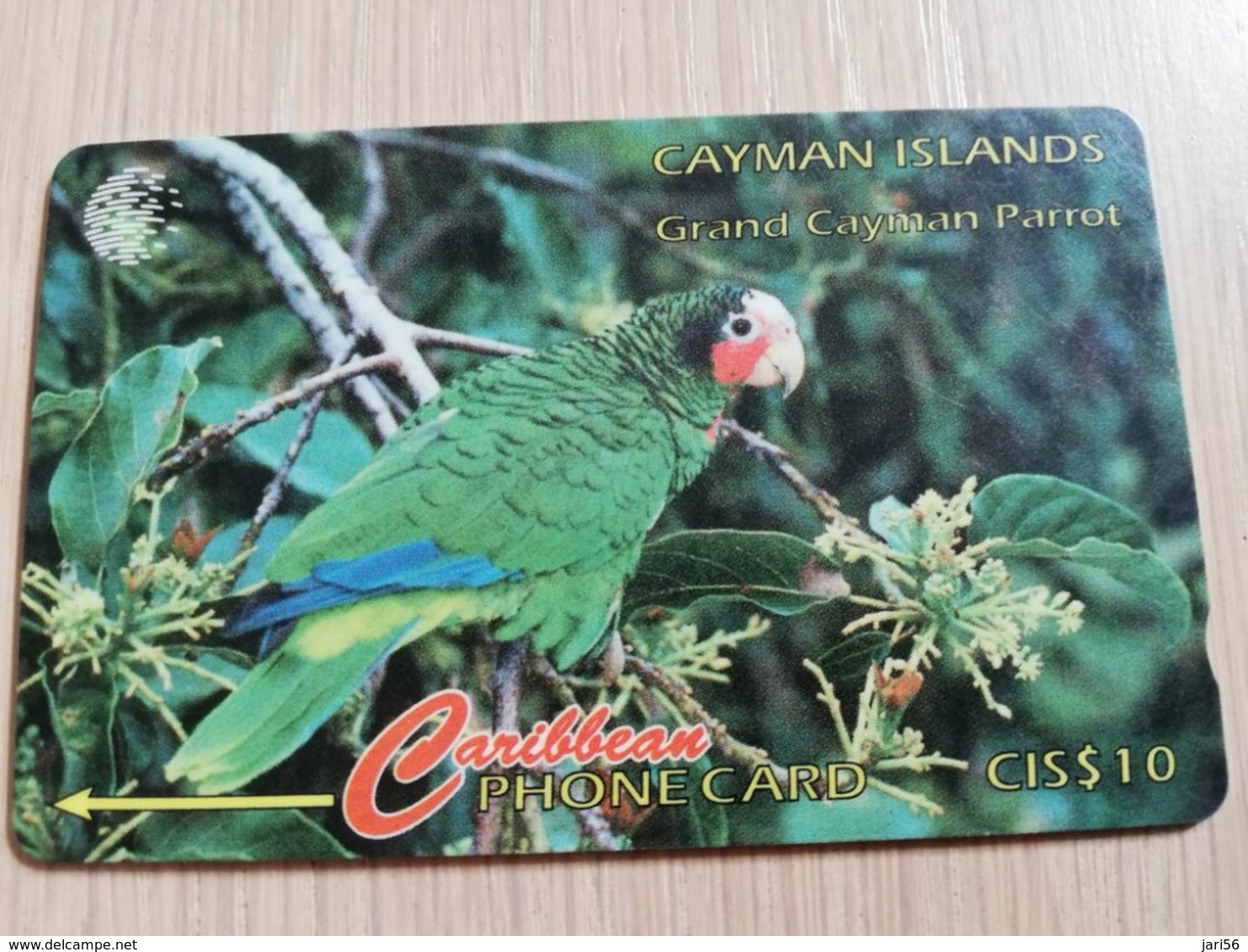 CAYMAN ISLANDS  CI $ 10,-  CAY-11B  CONTROL NR 11CCIB  GRAND CAYMAN PARROT     NEW  LOGO     Fine Used Card  ** 3083** - Kaimaninseln (Cayman I.)