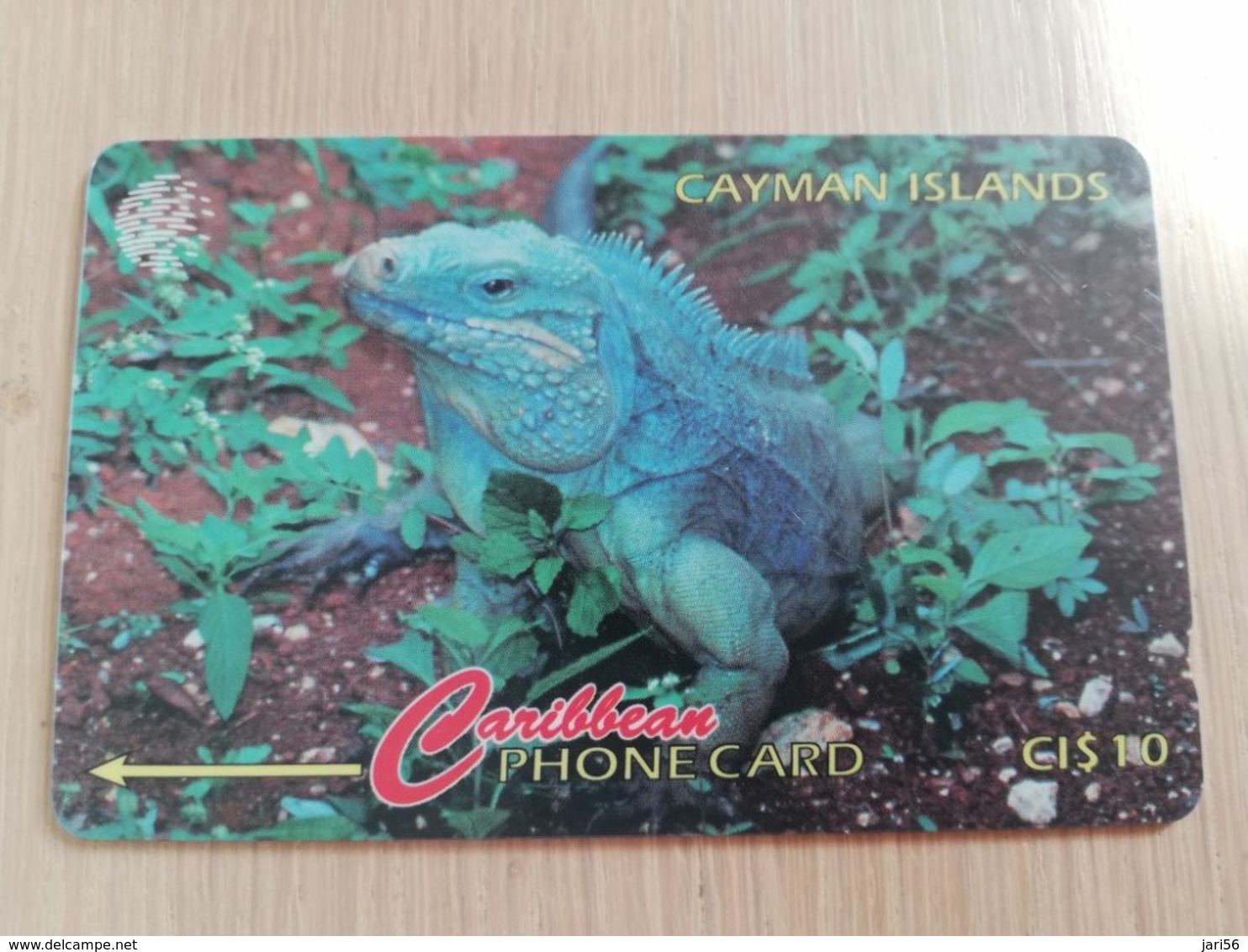 CAYMAN ISLANDS  CI $ 10,-  CAY-13B  CONTROL NR 13CCIB  GRAND CAYMAN LEGUANA      Fine Used Card  ** 3089** - Kaimaninseln (Cayman I.)