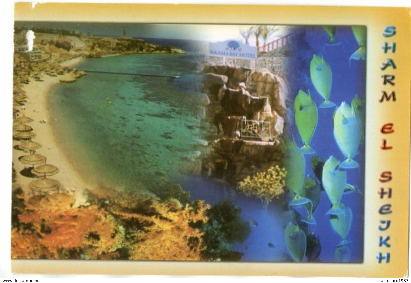 SHARM EL SHEIKH - POST CARD - EGYPT- Cm. 11 X 16 - Sharm El Sheikh