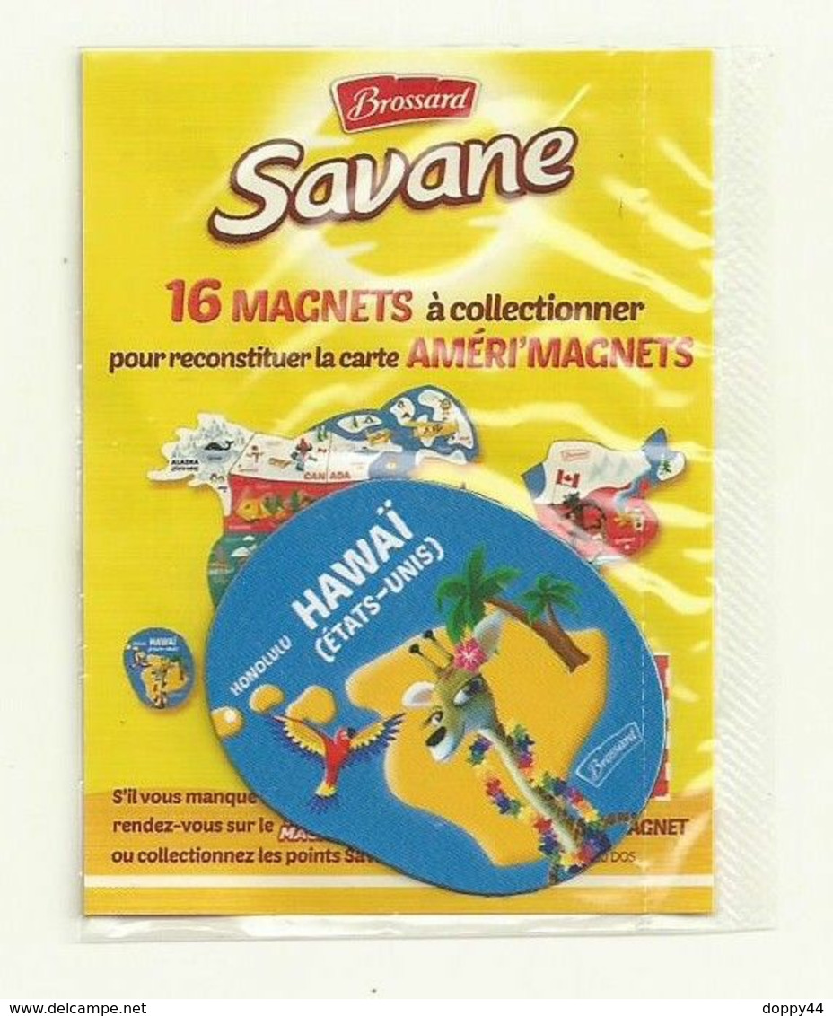 MAGNET SAVANE AMERI'MAGNETS HAWAI SOUS BLISTER FERME. - Autres & Non Classés