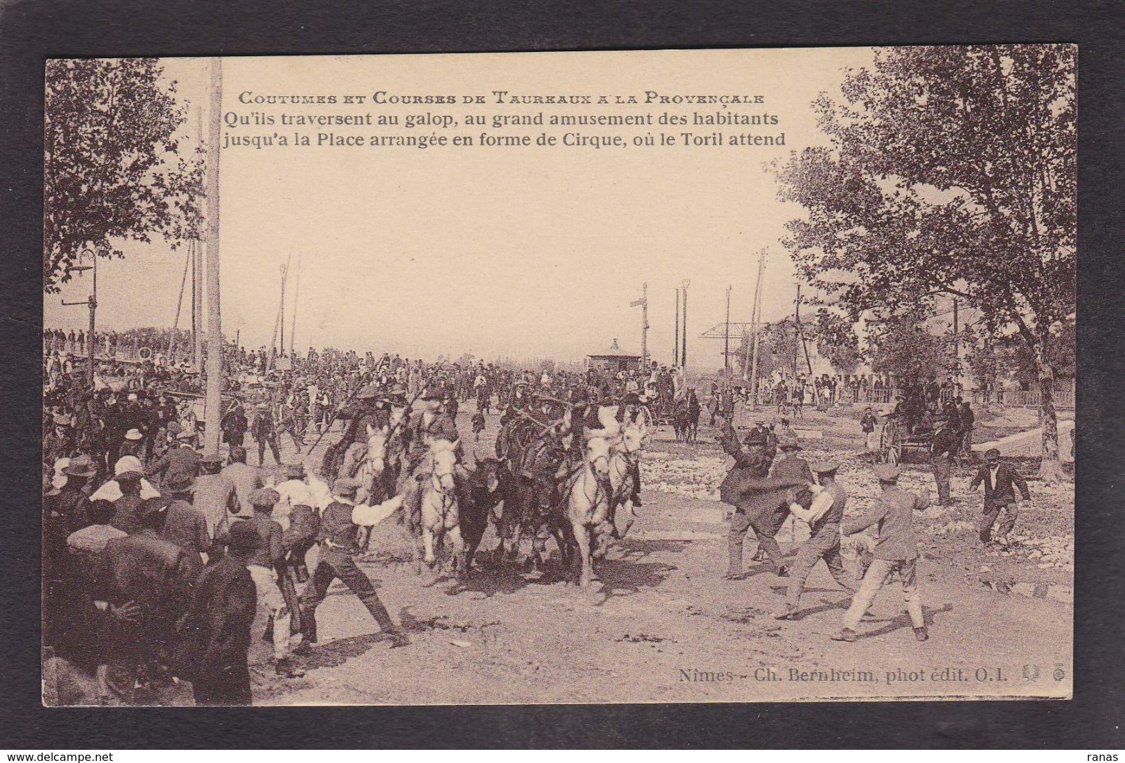 CPA Provence Taureaux éditeur Bernheim Nîmes Non Circulé - Provence-Alpes-Côte D'Azur