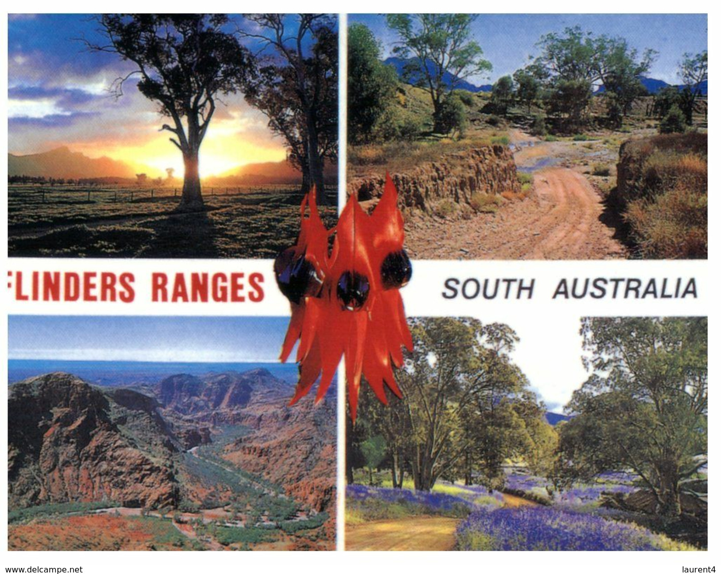 (M 13) Australia - SA - Flinders Ranges (with Stamp) - Flinders Ranges