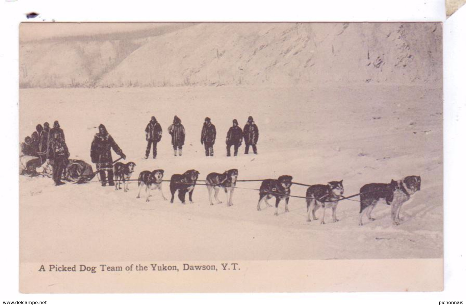 DAWSON YT  A Picked Dog Team Of The Yukon Sled Dogs - Yukon