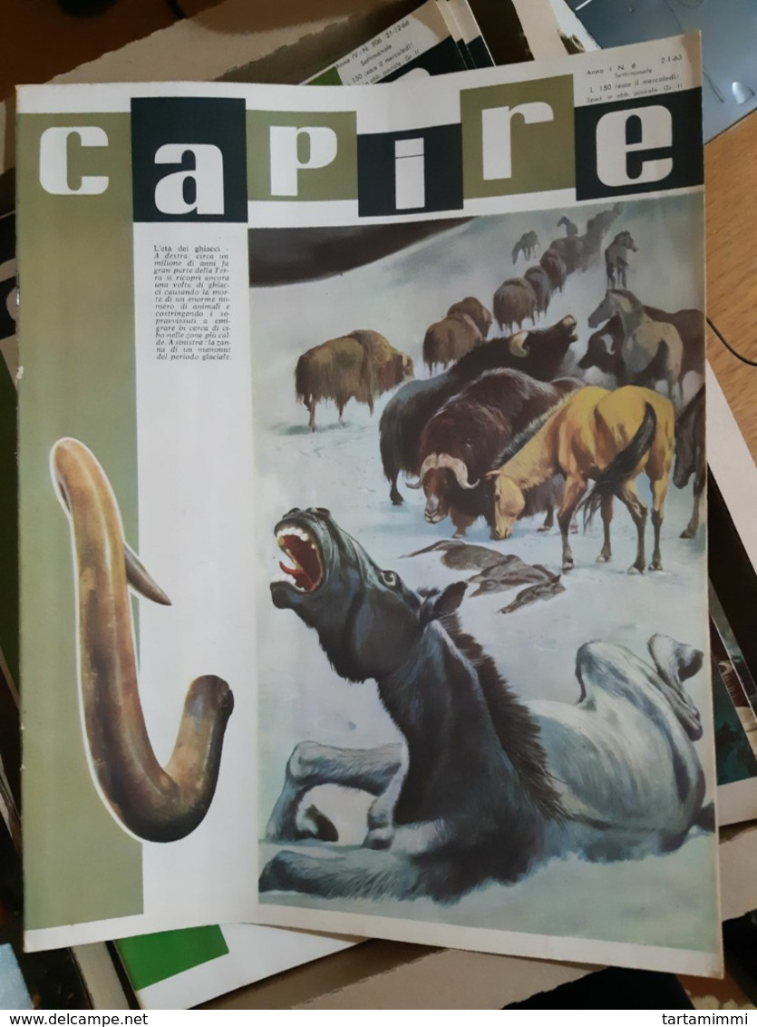 OLD ITALIAN MAGAZINE CAPIRE - 1966 COVER WITH PREHISTORIC ANIMALS ICE AGE MAMMALS AND MAMMOUTH FANG IVORY - Andere & Zonder Classificatie