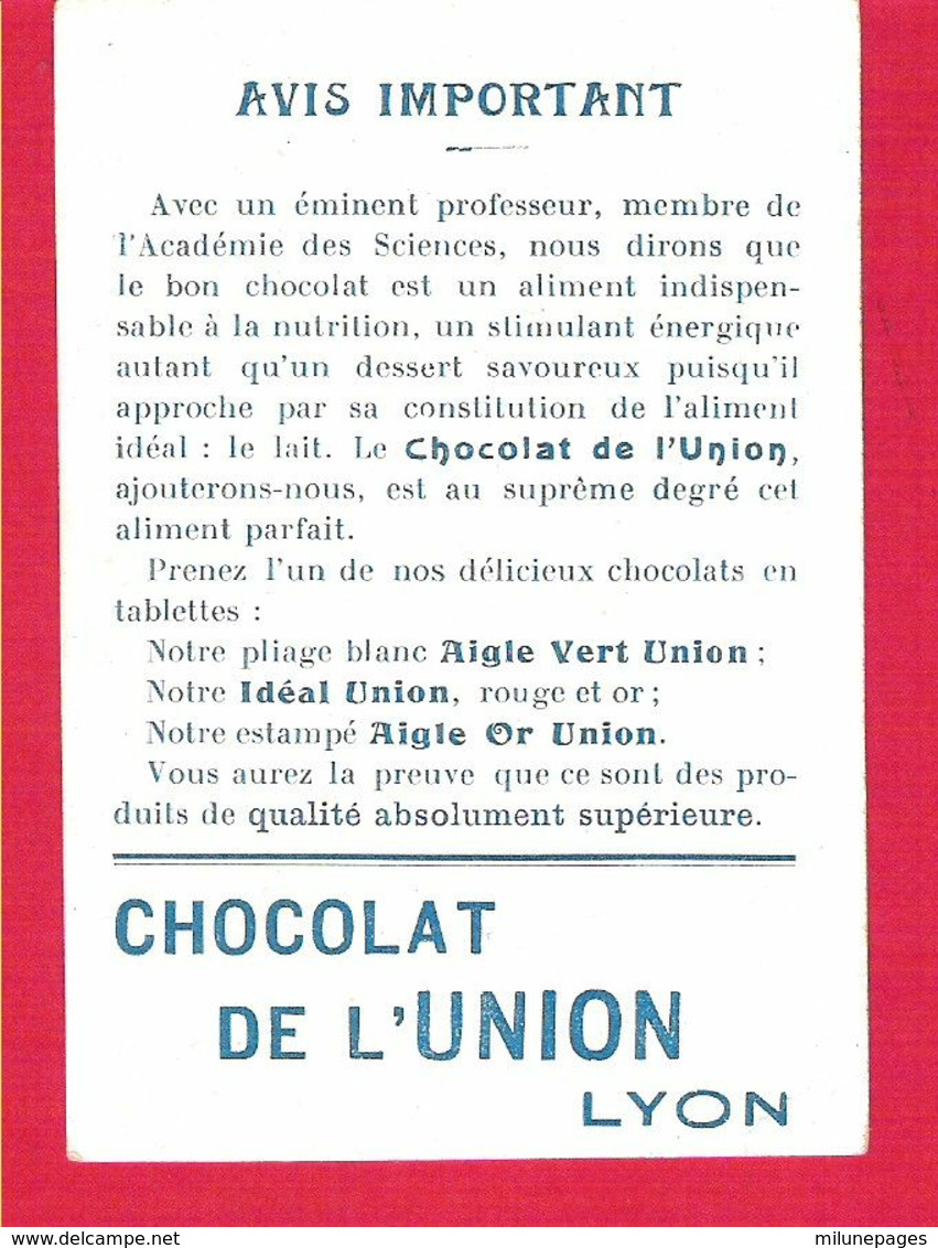 Lot 4 Chromos Chocolat De L'Union à LYON Animaux Domestiques Lapin, Chien, Porc , Ane - Andere & Zonder Classificatie