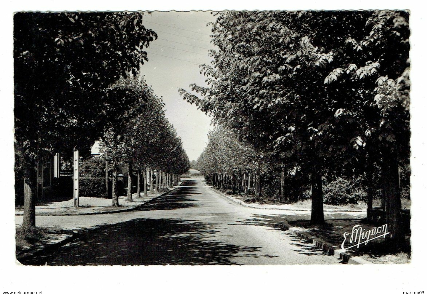 78 YVELINES LLES CLAYES SOUS BOIS L'avenue Du Bois - Les Clayes Sous Bois