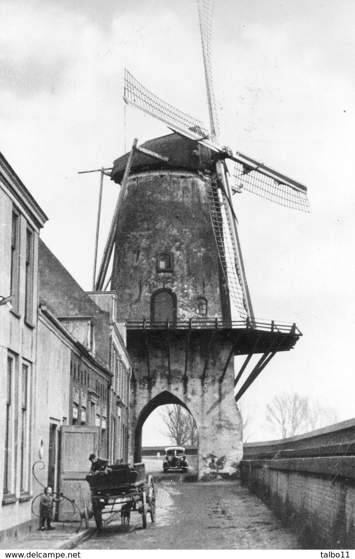 Hollands Molenlandschap - Moulin à Vent - Wijk Bij Duurstede