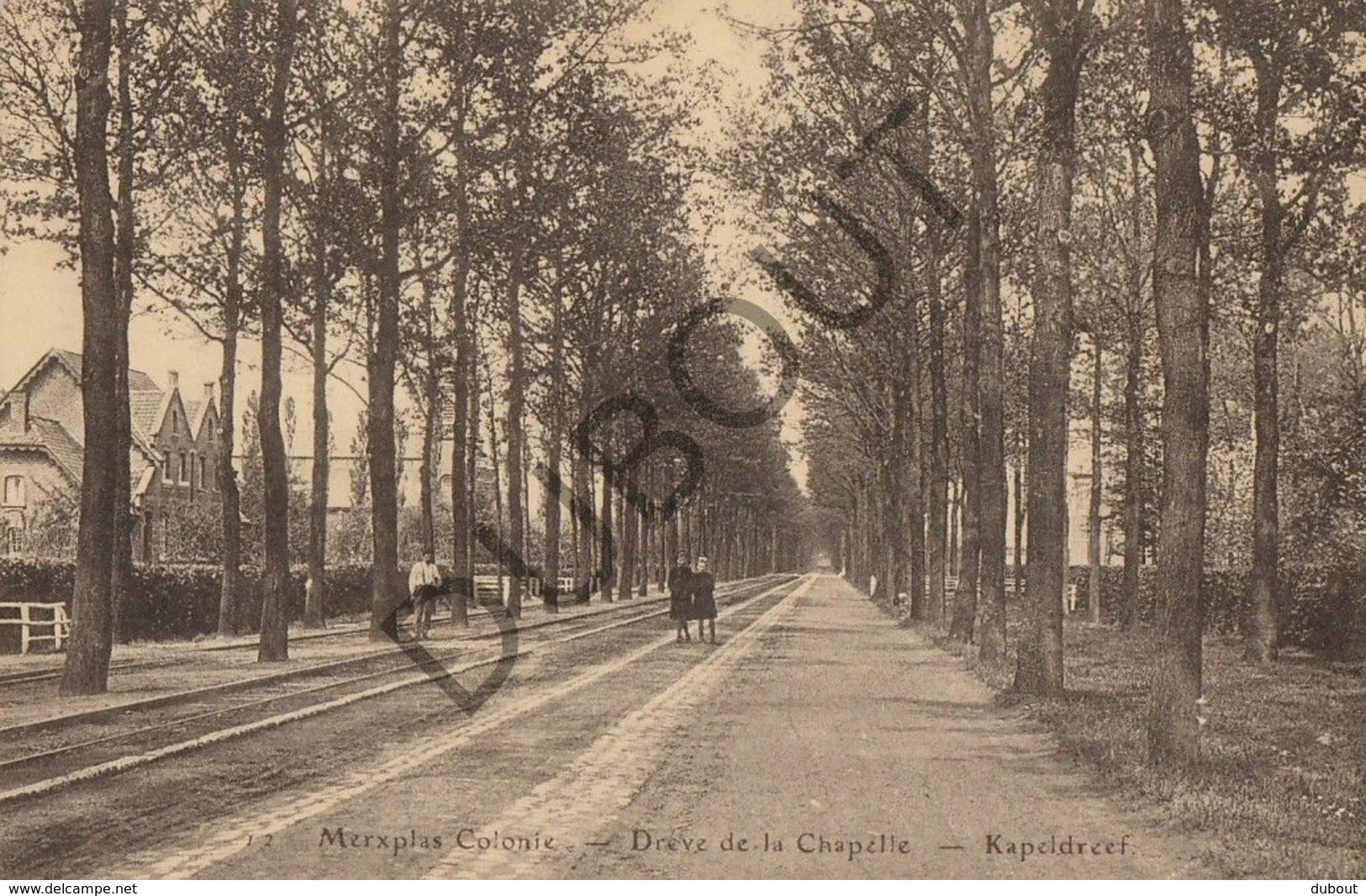 Postkaart - Carte Postale MERKSPLAS COLONIE - Dréve De La Chapelle - Kapeldreef   (B861) - Merksplas