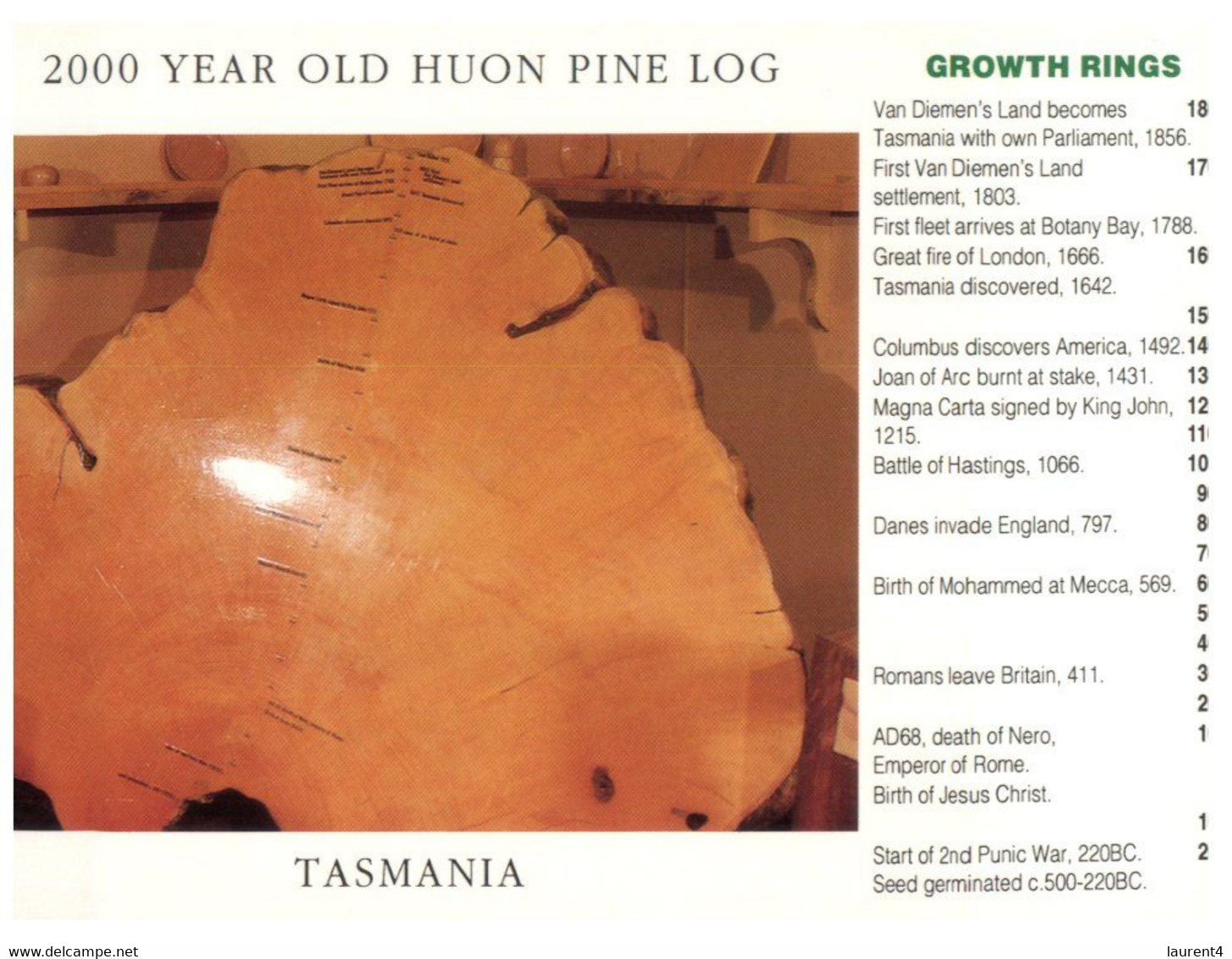 (O 13 A) Australia - TAS - Huon Pine Log (TP632) - Wilderness