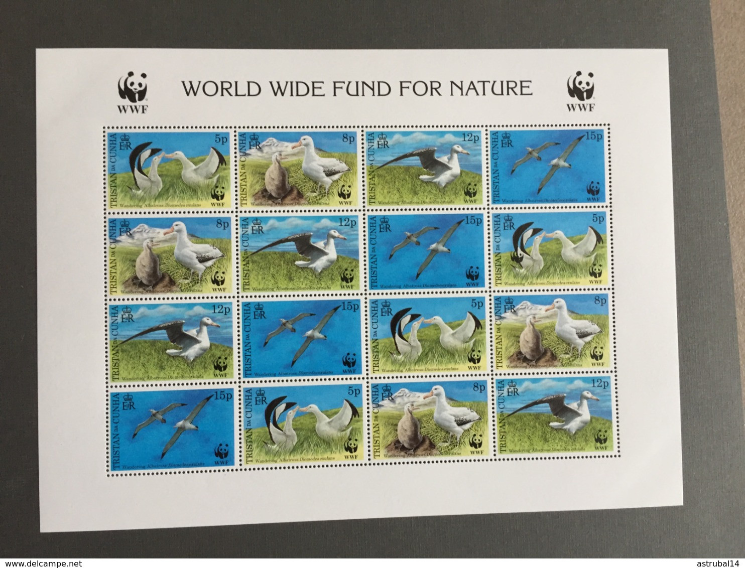 Lot De 20 Feuillets Et Blocs WWF MNH Neufs 1988-2009 - Collections, Lots & Séries