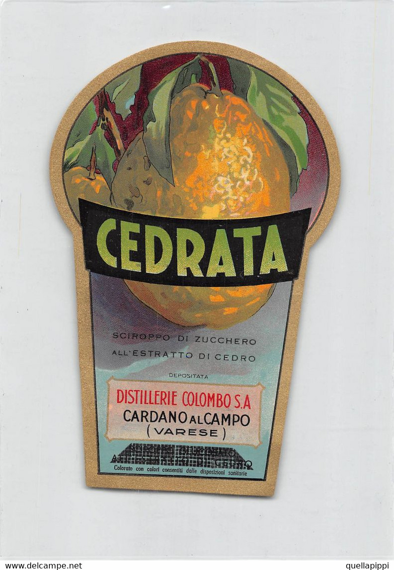 011151 "DISTILLERIE COLOMBO S.A. - CARDANO AL CAMPO - VARESE - CEDRARA" ETICHETTA - Fruits Et Légumes