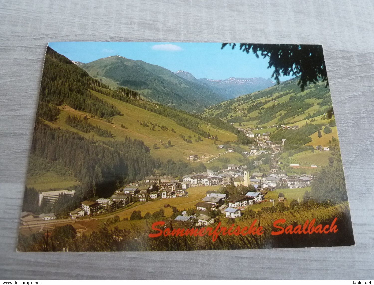 Sommerfrische Saalbach - Salzburger Land - 1003 M - Editions Haidinger - Année 1985 - - Saalbach