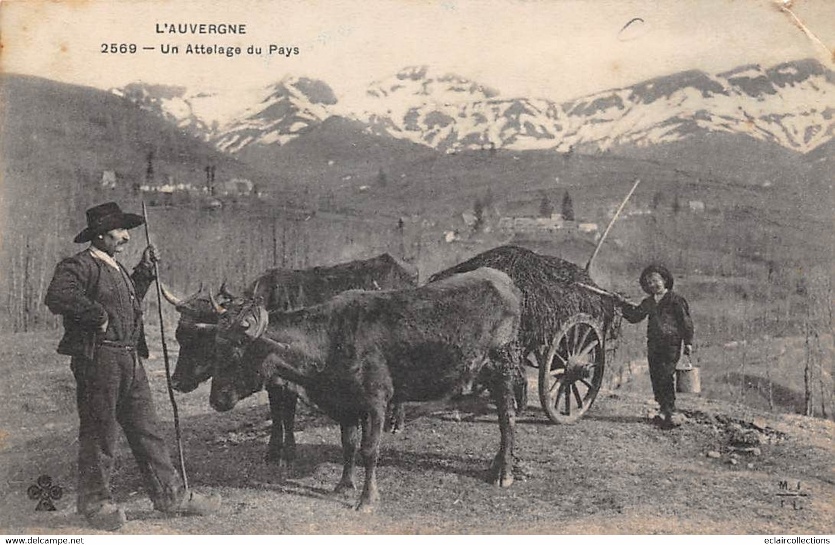 Non Localisé. Auvergne. Cantal        15       Attelage  Du Pays    Edition M T I L      (Voir Scan) - Altri & Non Classificati