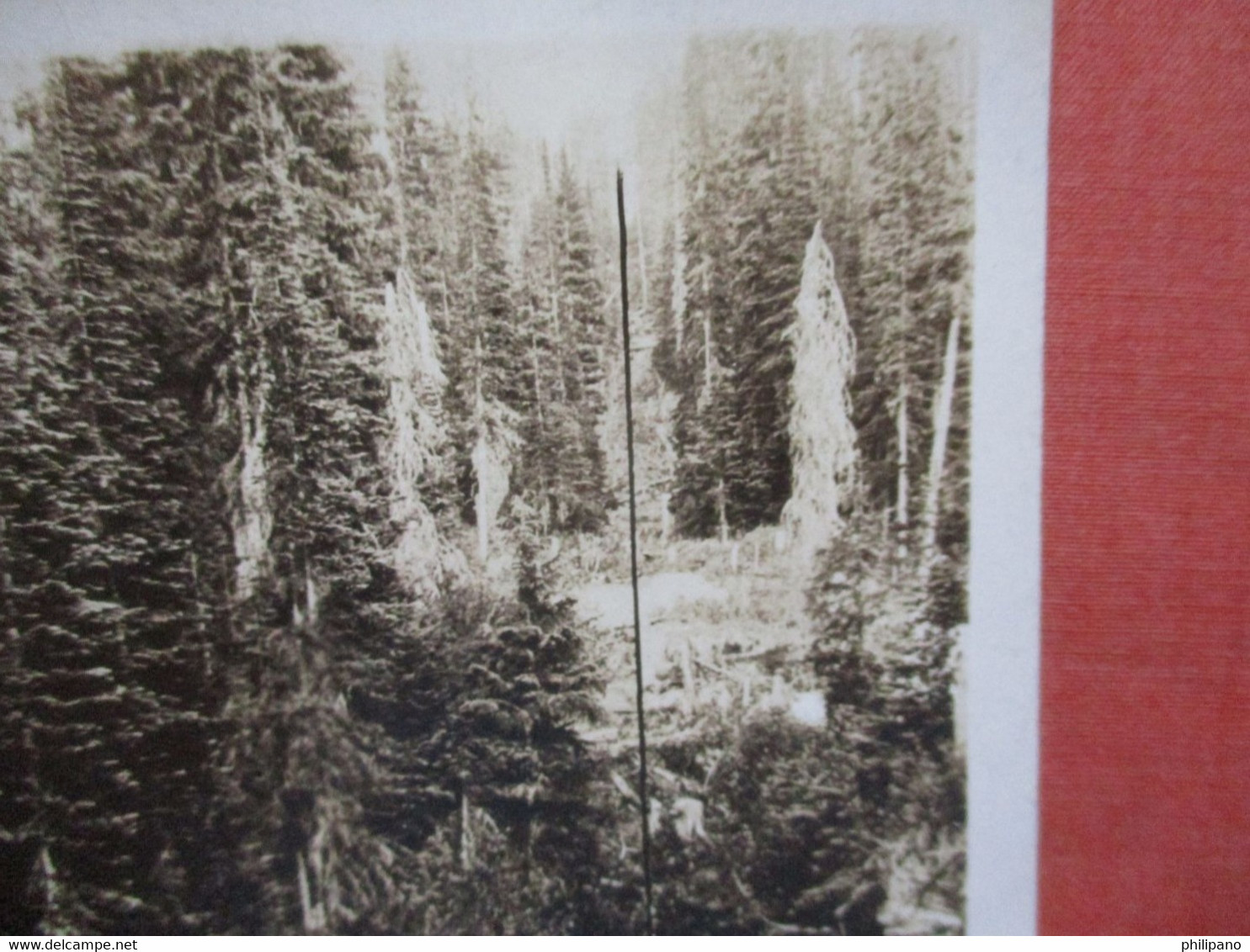 RPPC  Nolg Boundry Line Between US & Canada  Bonners Ferry Idaho   Ref  4388 - Other & Unclassified