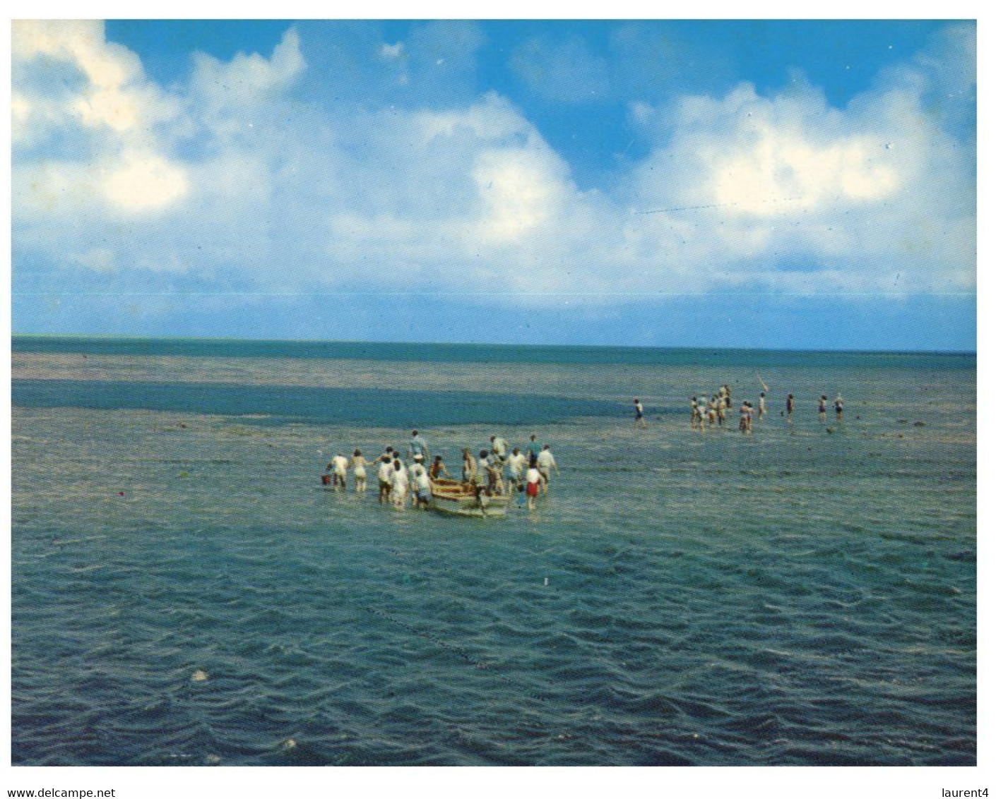 (Q 3) Australia - QLD - McLean's Roylen Cruises Reef Walk At Low Tide - Great Barrier Reef