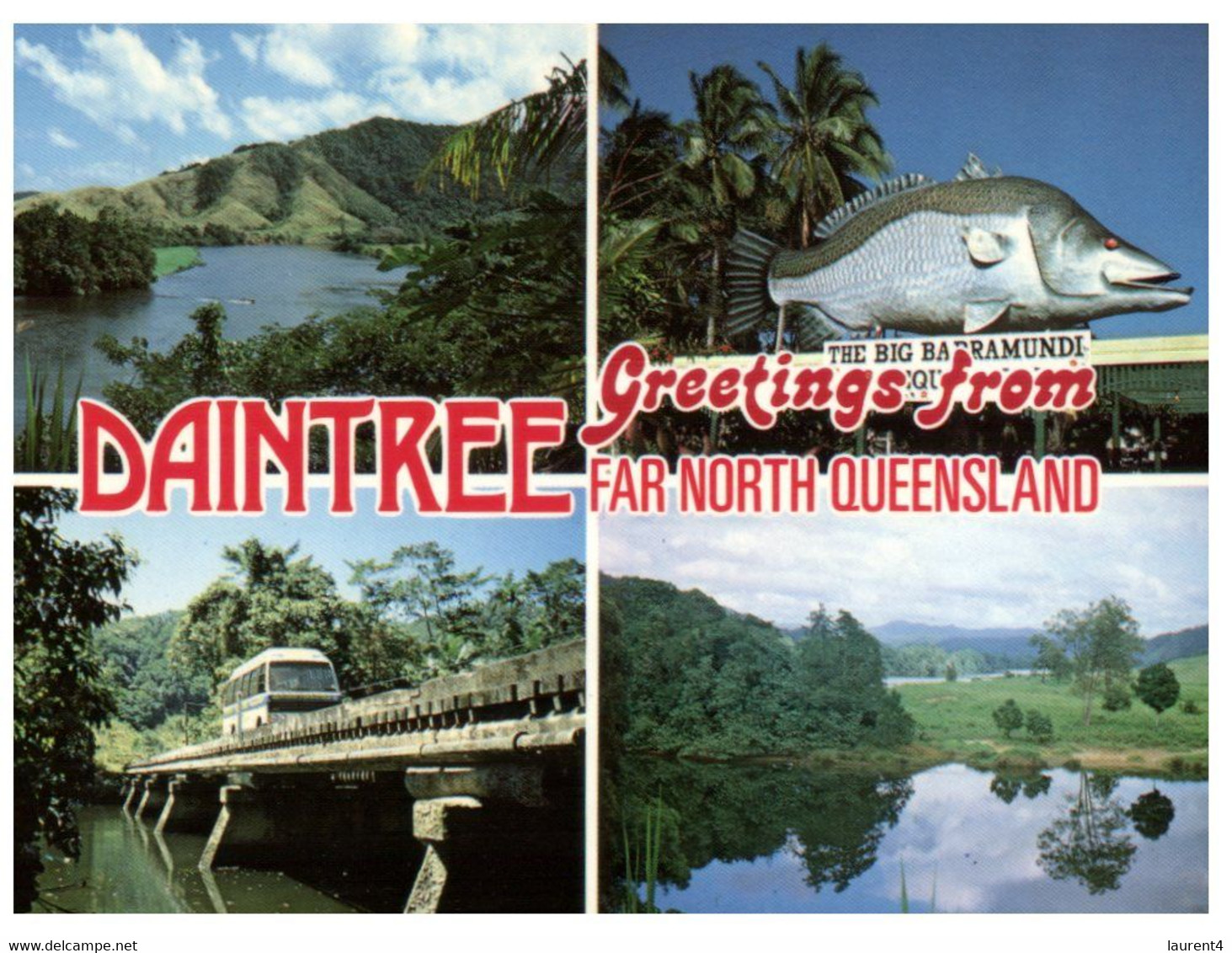 (Q 15) Australia - QLD - Daintree - Far North Queensland