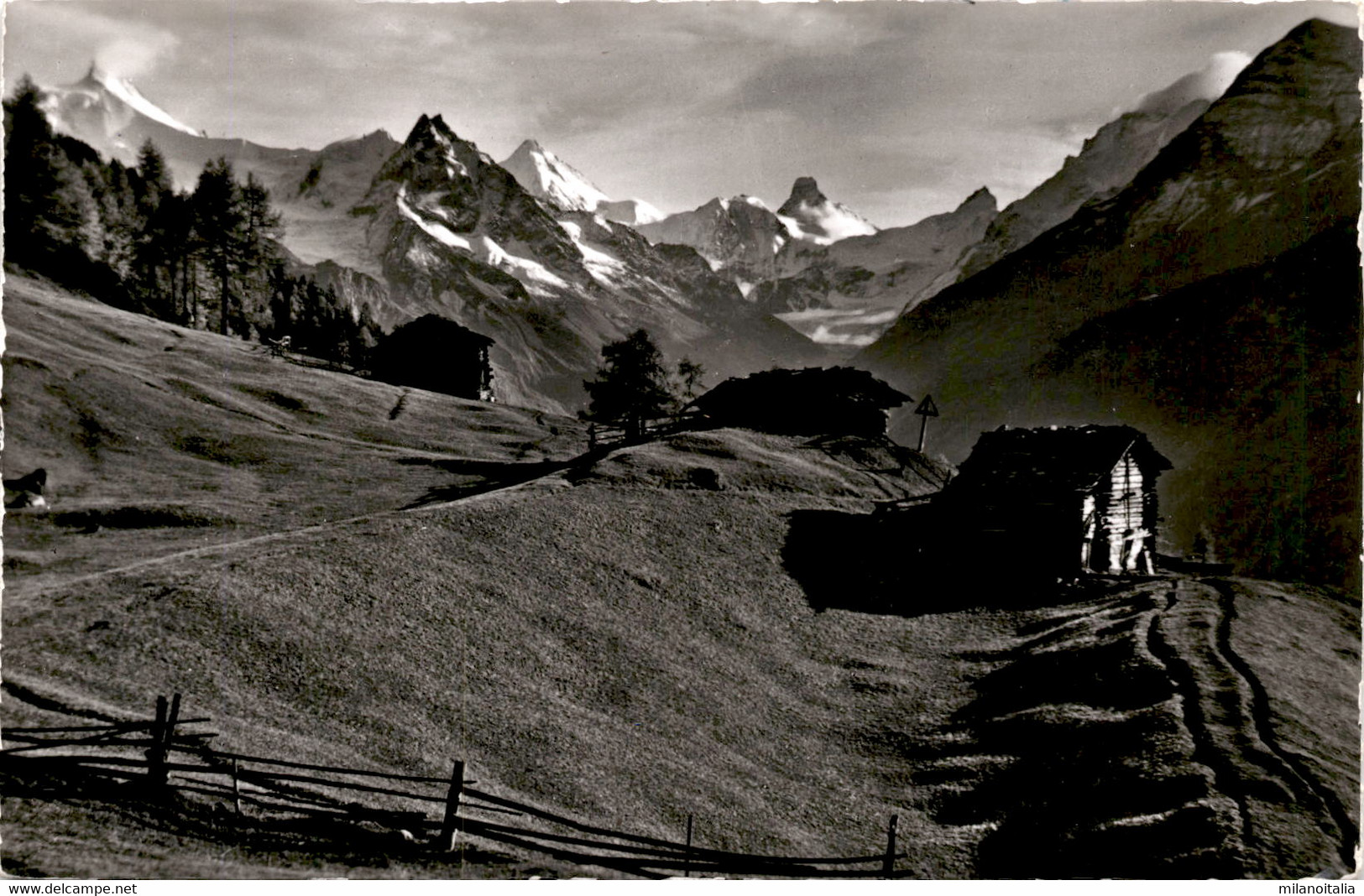 Anniviers Pittoresque: Alpe Des Moyes Pres De St. Luc Et Ayer (14054) * 2. 8. 1958 - Ayer