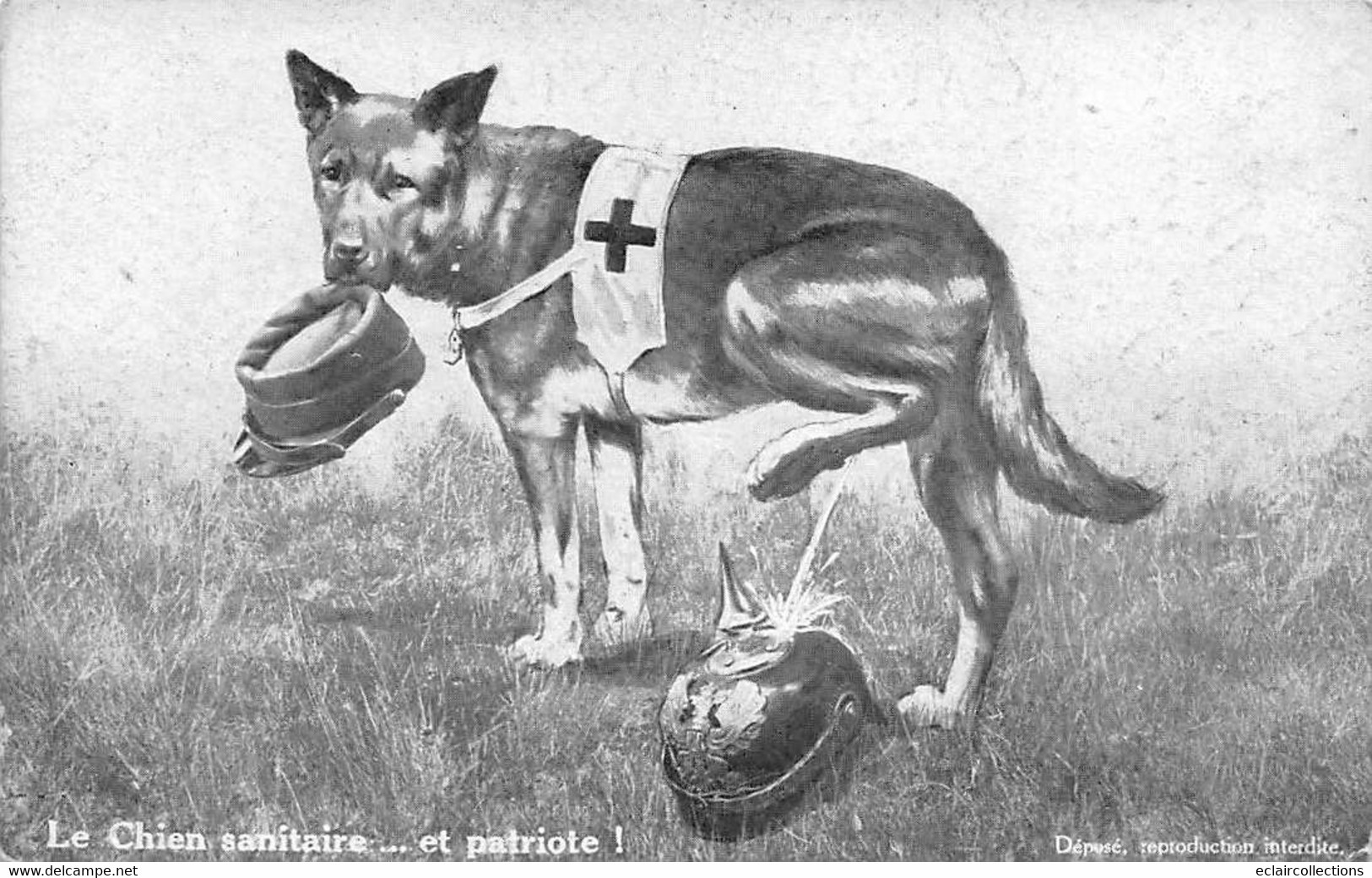 Thème:   Guerre 14/18    Chien Sanitaire Et Patriote Urinant Sur Un Casque Allemand           ( Voir Scan) - Weltkrieg 1914-18