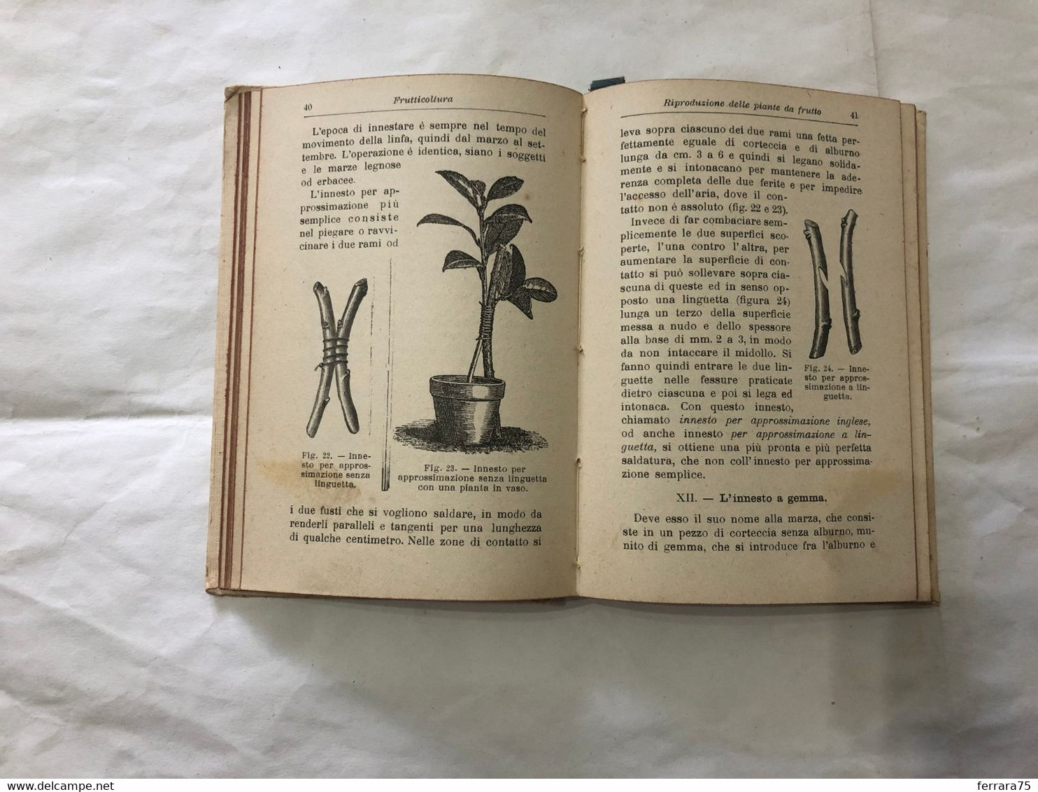 MANUALI ULRICO HOEPLI PROF.TAMARO FRUTTICOLTURA VIII°EDIZIONE 1922 PAG.244. - Medicina, Biología, Química