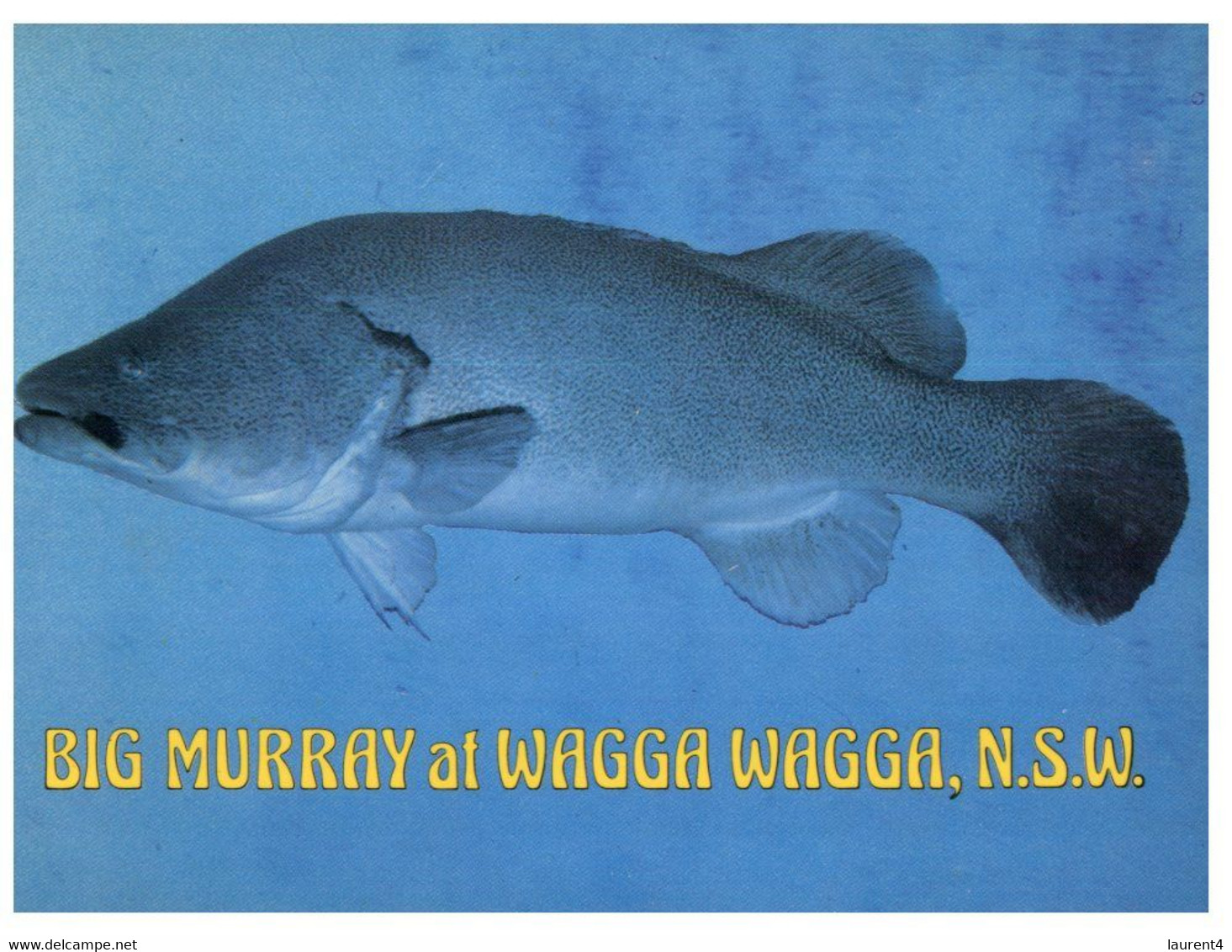 (R 1) Australia - NSW - Wagga Wagga (with Big Murray Fish) (W 14) - Wagga Wagga