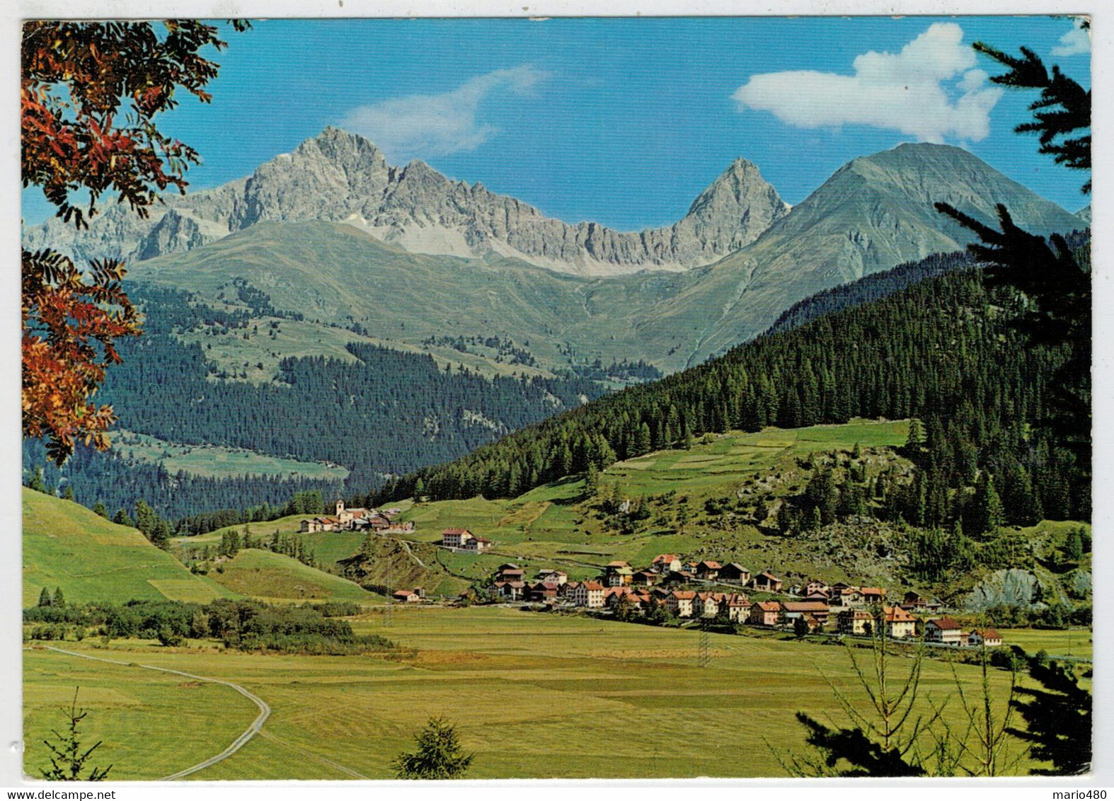 RONA    GEGEN  PIZ MITGEL  UND  TINZENHORN               2  SCAN      (VIAGGIATA) - Tinizong-Rona