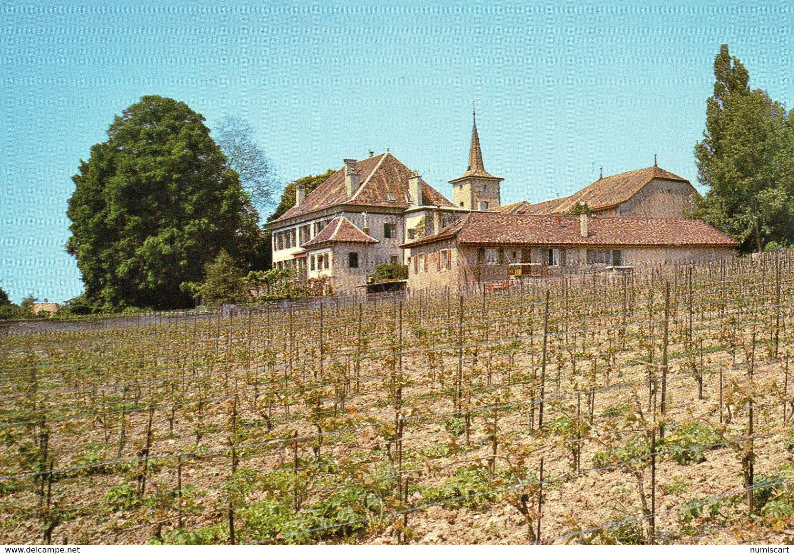 Etoy Belle Vue Du Village Le Château L'Eglise Vignes Vignoble - Étoy