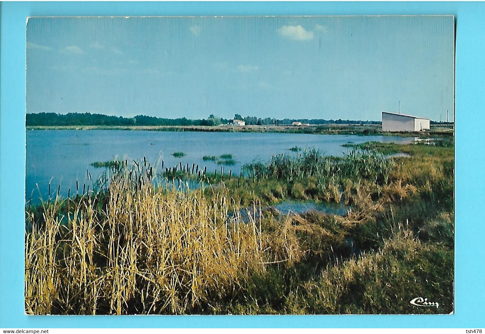 82-----MONTECH---la Pisciculture--voir 2 Scans - Montech