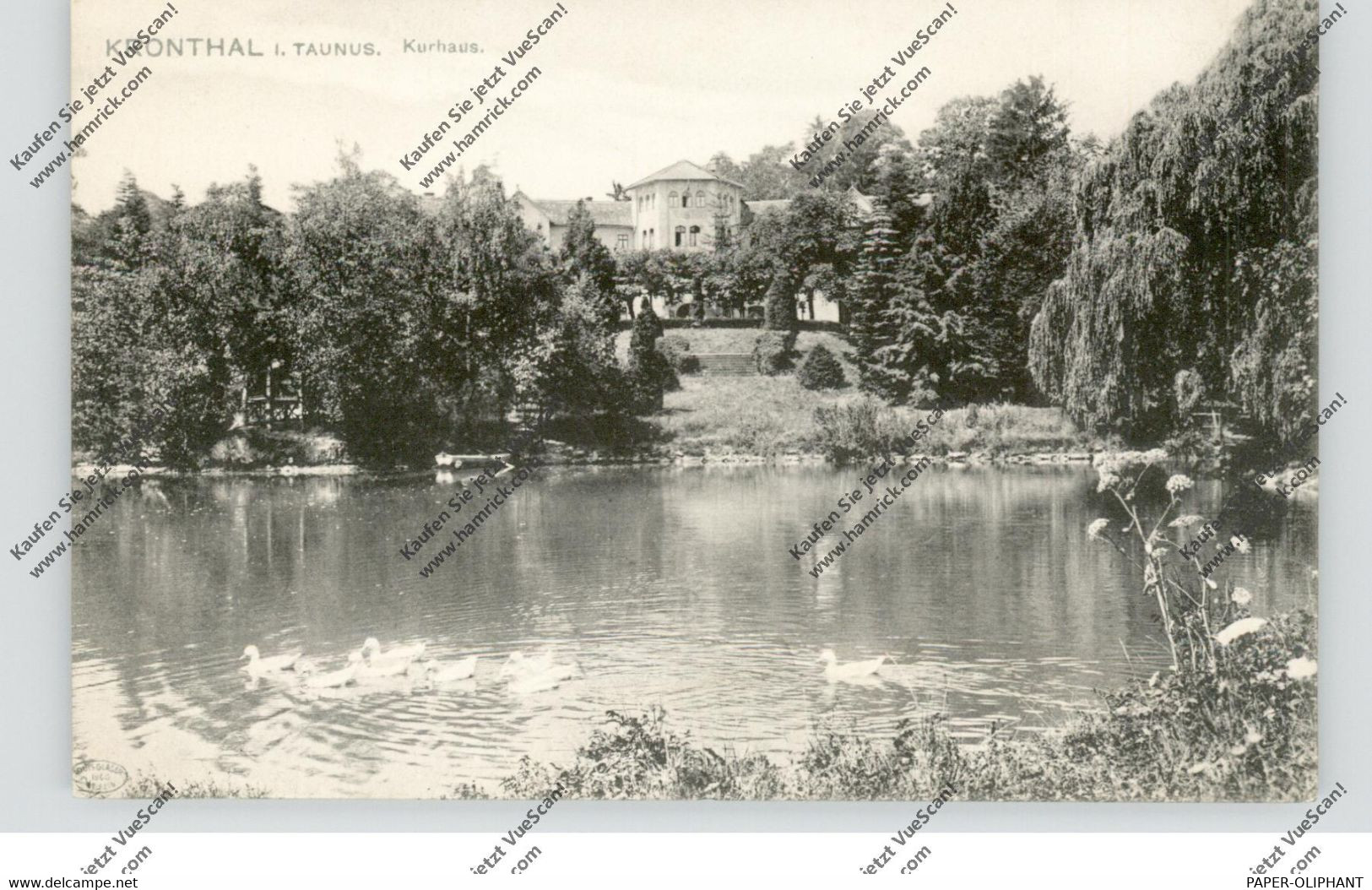 6242 KRONBERG, Kronthal, Kurhaus, 1906 - Kronberg